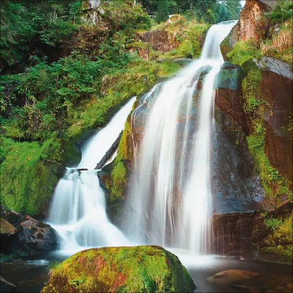 Bild: 9783731886648 | Schwarzwald 2026 | Verlag Korsch | Kalender | 13 S. | Deutsch | 2026