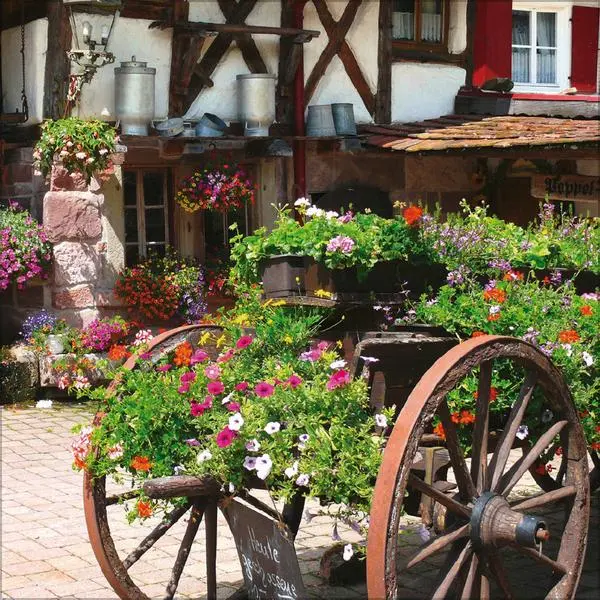 Bild: 9783731886648 | Schwarzwald 2026 | Verlag Korsch | Kalender | 13 S. | Deutsch | 2026