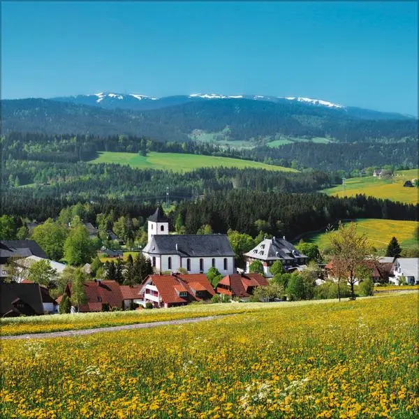 Bild: 9783731886648 | Schwarzwald 2026 | Verlag Korsch | Kalender | 13 S. | Deutsch | 2026