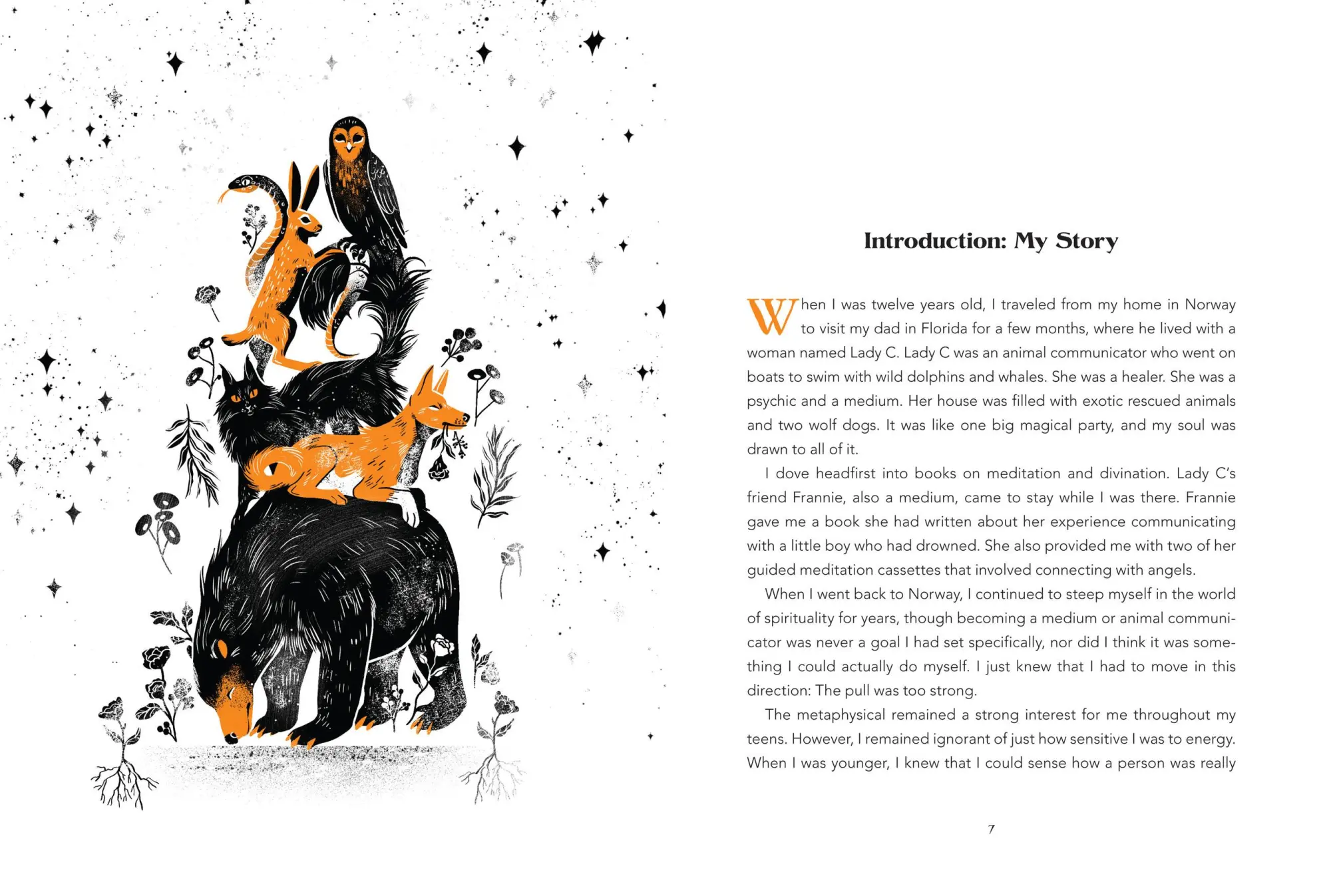Bild: 9781454946748 | Animal Intuition | Thea Strom | Buch | Gebunden | Englisch | 2023