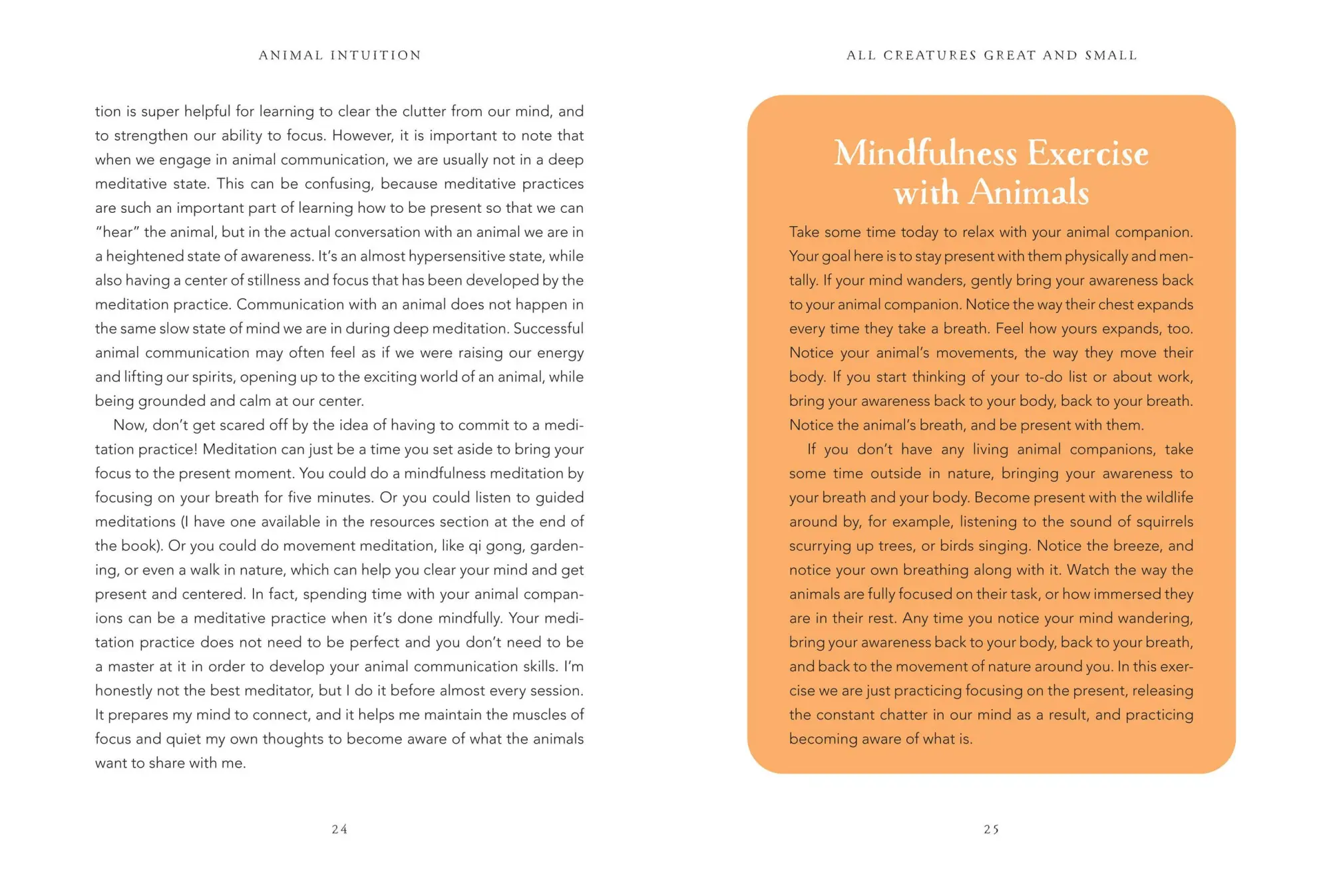 Bild: 9781454946748 | Animal Intuition | Thea Strom | Buch | Gebunden | Englisch | 2023