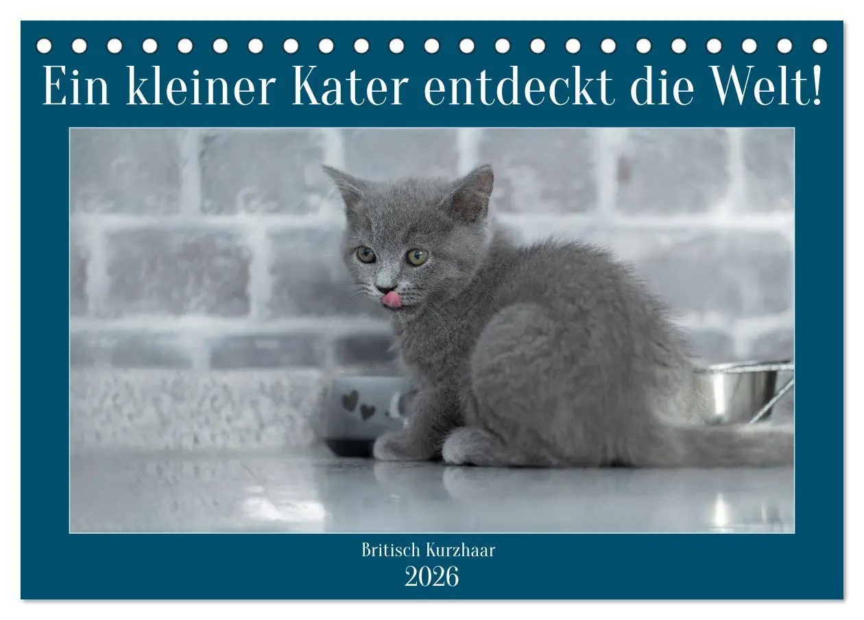 Cover: 9783457496848 | Ein kleiner Kater entdeckt die Welt! (Tischkalender 2026 DIN A5...
