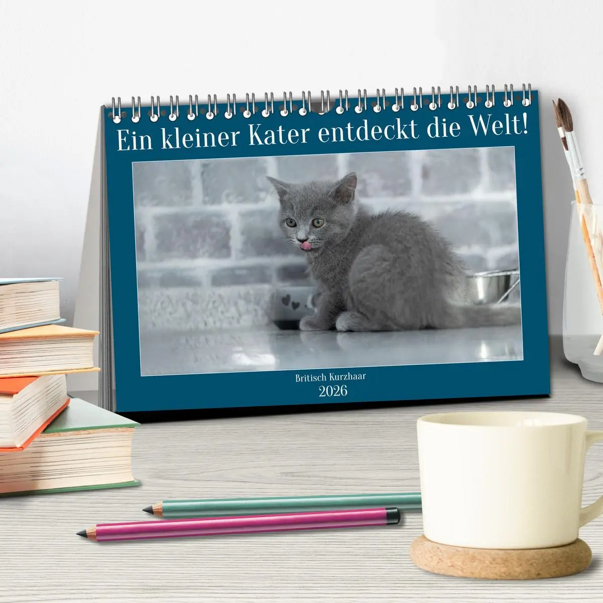Bild: 9783457496848 | Ein kleiner Kater entdeckt die Welt! (Tischkalender 2026 DIN A5...