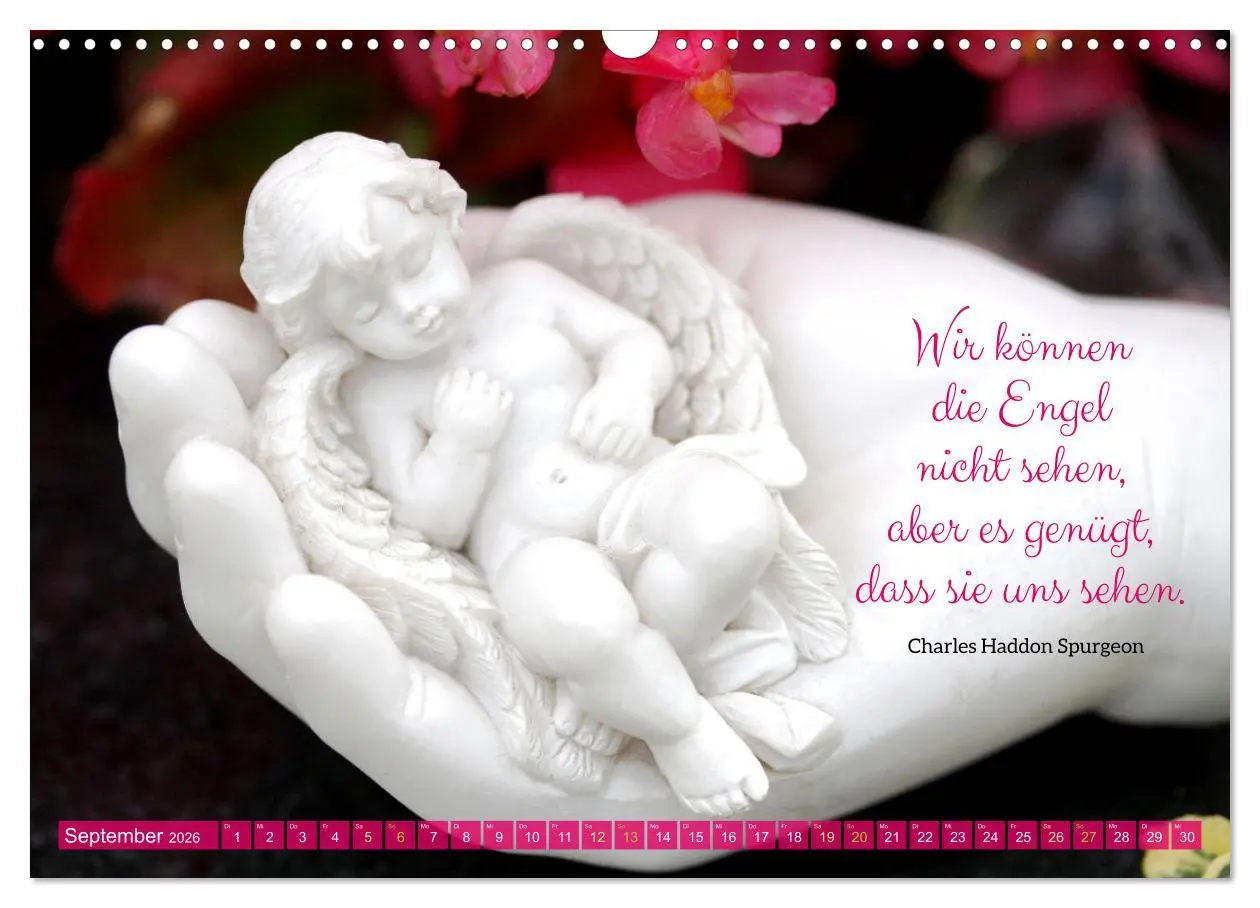 Bild: 9783457636848 | Geborgen unter Engelsflügeln (Wandkalender 2026 DIN A3 quer),...