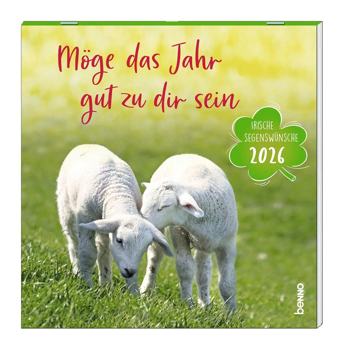 Cover: 9783746266848 | Möge das Jahr gut zu dir sein 2026 | Irische Segenswünsche | Kalender