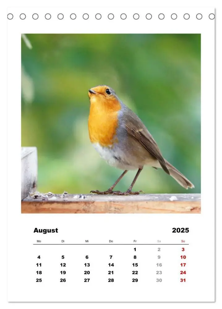 Bild: 9783435916948 | Rotkehlchen, süße kleine Knutschkugeln (Tischkalender 2025 DIN A5...