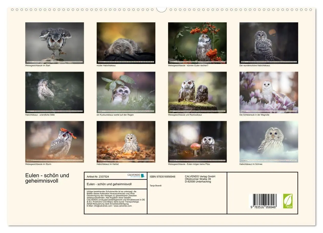 Bild: 9783516956948 | Eulen - schön und geheimnisvoll (hochwertiger Premium Wandkalender...