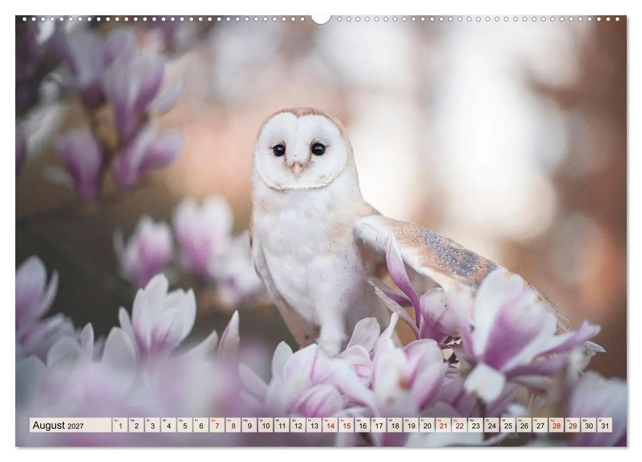 Bild: 9783516956948 | Eulen - schön und geheimnisvoll (hochwertiger Premium Wandkalender...