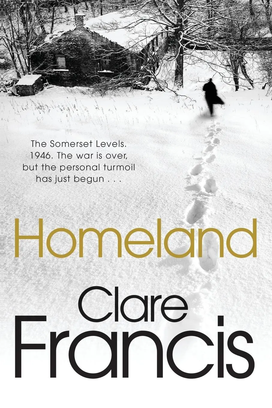 Cover: 9781509807048 | Homeland | Clare Francis | Taschenbuch | Englisch | 2015 | Macmillan