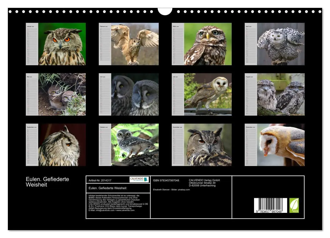 Bild: 9783457997048 | Eulen. Gefiederte Weisheit (Wandkalender 2026 DIN A3 quer),...