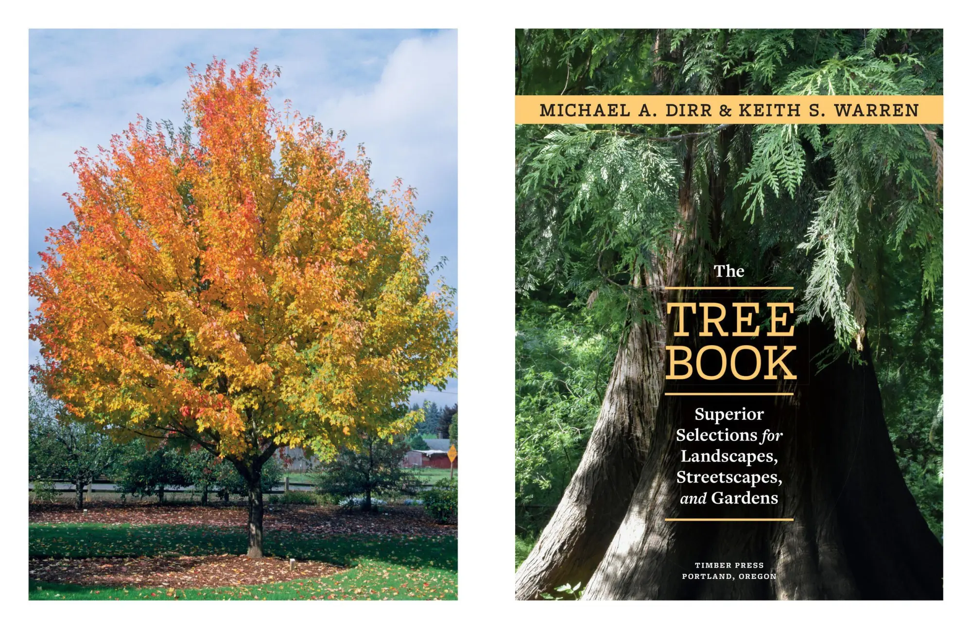 Bild: 9781604697148 | The Tree Book | Keith S. Warren (u. a.) | Buch | Gebunden | Englisch