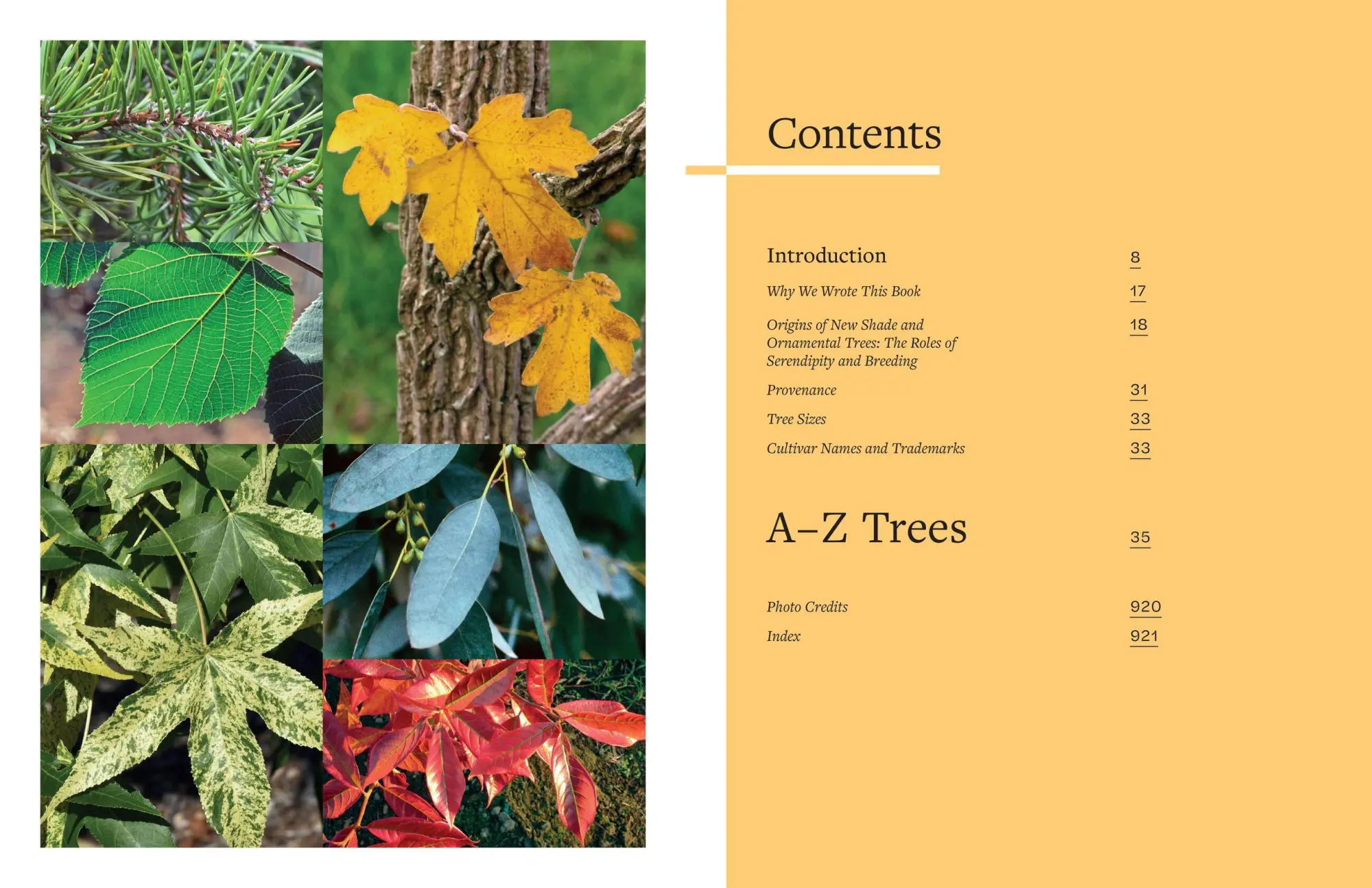 Bild: 9781604697148 | The Tree Book | Keith S. Warren (u. a.) | Buch | Gebunden | Englisch
