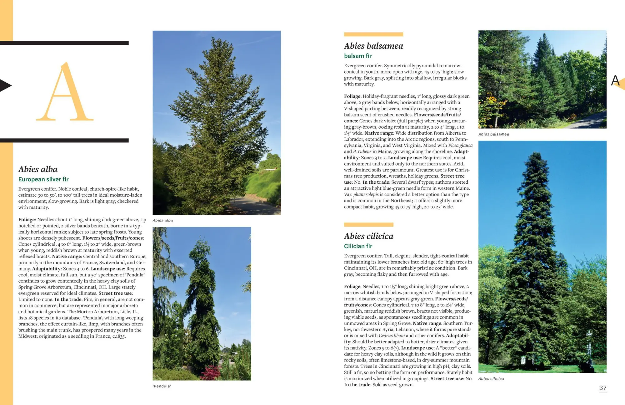 Bild: 9781604697148 | The Tree Book | Keith S. Warren (u. a.) | Buch | Gebunden | Englisch