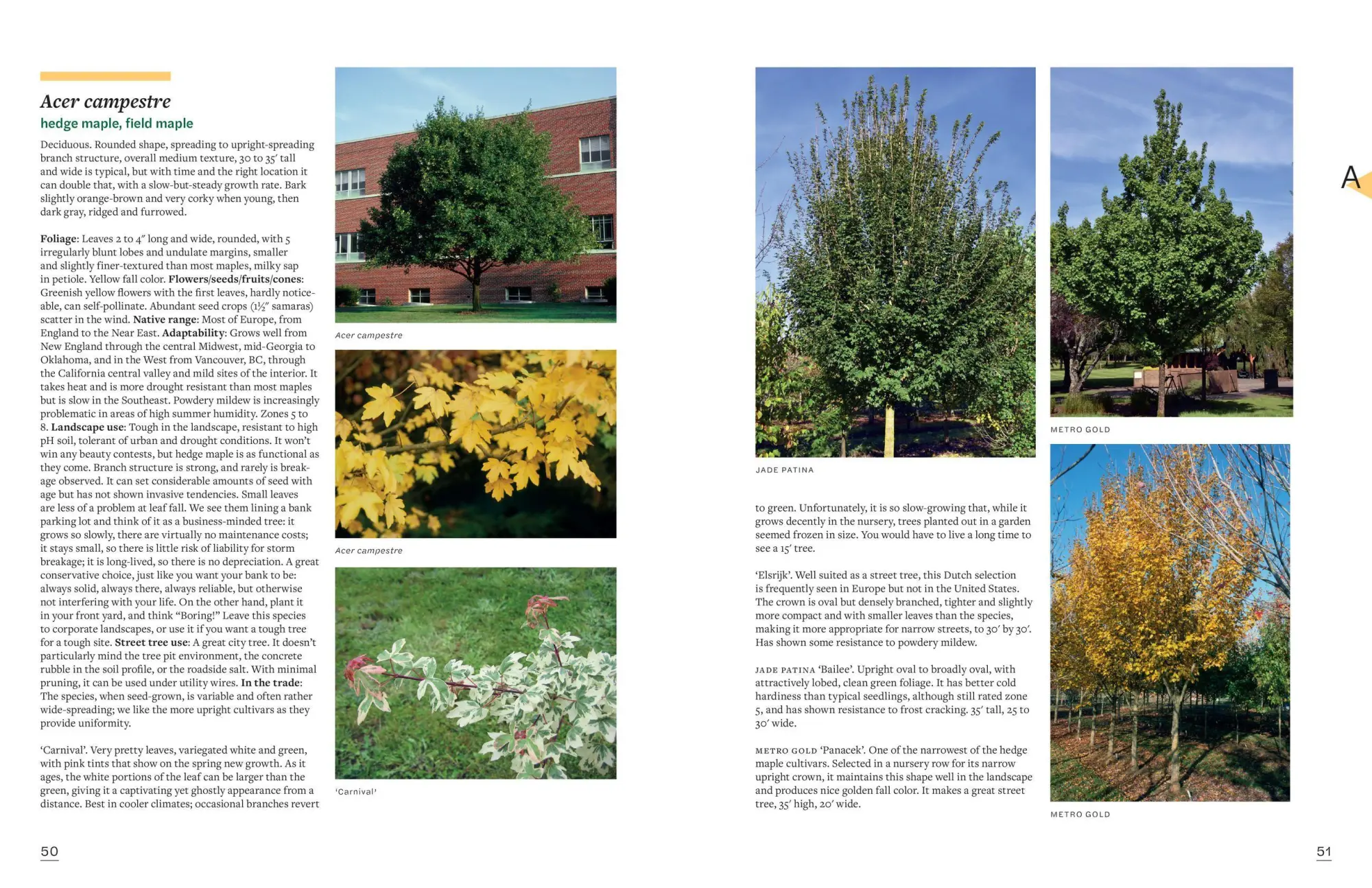 Bild: 9781604697148 | The Tree Book | Keith S. Warren (u. a.) | Buch | Gebunden | Englisch