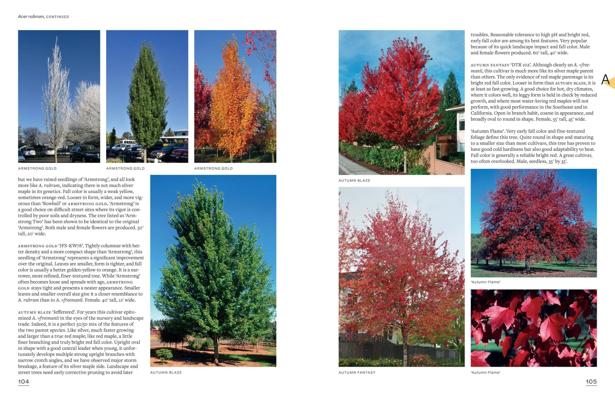 Bild: 9781604697148 | The Tree Book | Keith S. Warren (u. a.) | Buch | Gebunden | Englisch