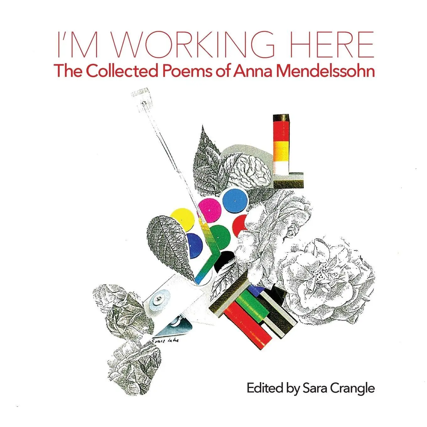 Cover: 9781848617148 | I'm Working Here | The Collected Poems of Anna Mendelssohn | Buch