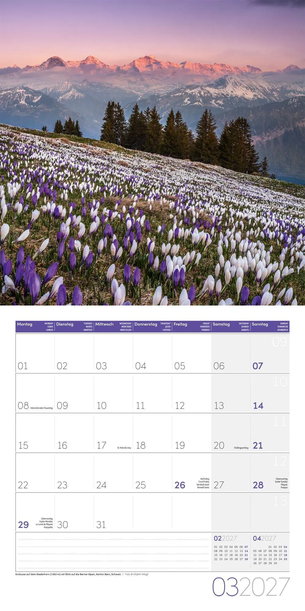 Bild: 9783838447148 | Alpen Kalender 2027 - 30x30 - Art12 | Ackermann Kunstverlag GmbH