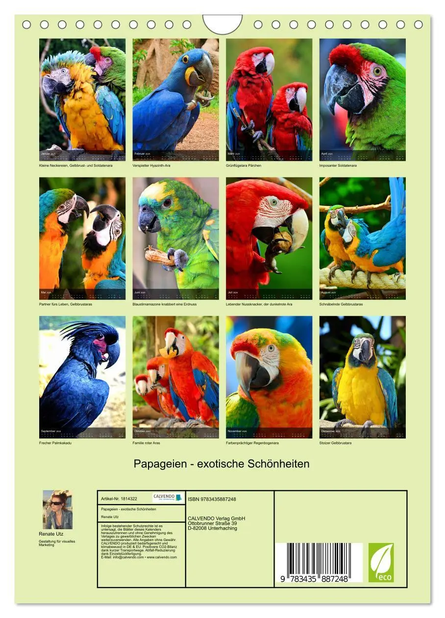 Bild: 9783435887248 | Papageien - exotische Schönheiten (Wandkalender 2025 DIN A4 hoch),...