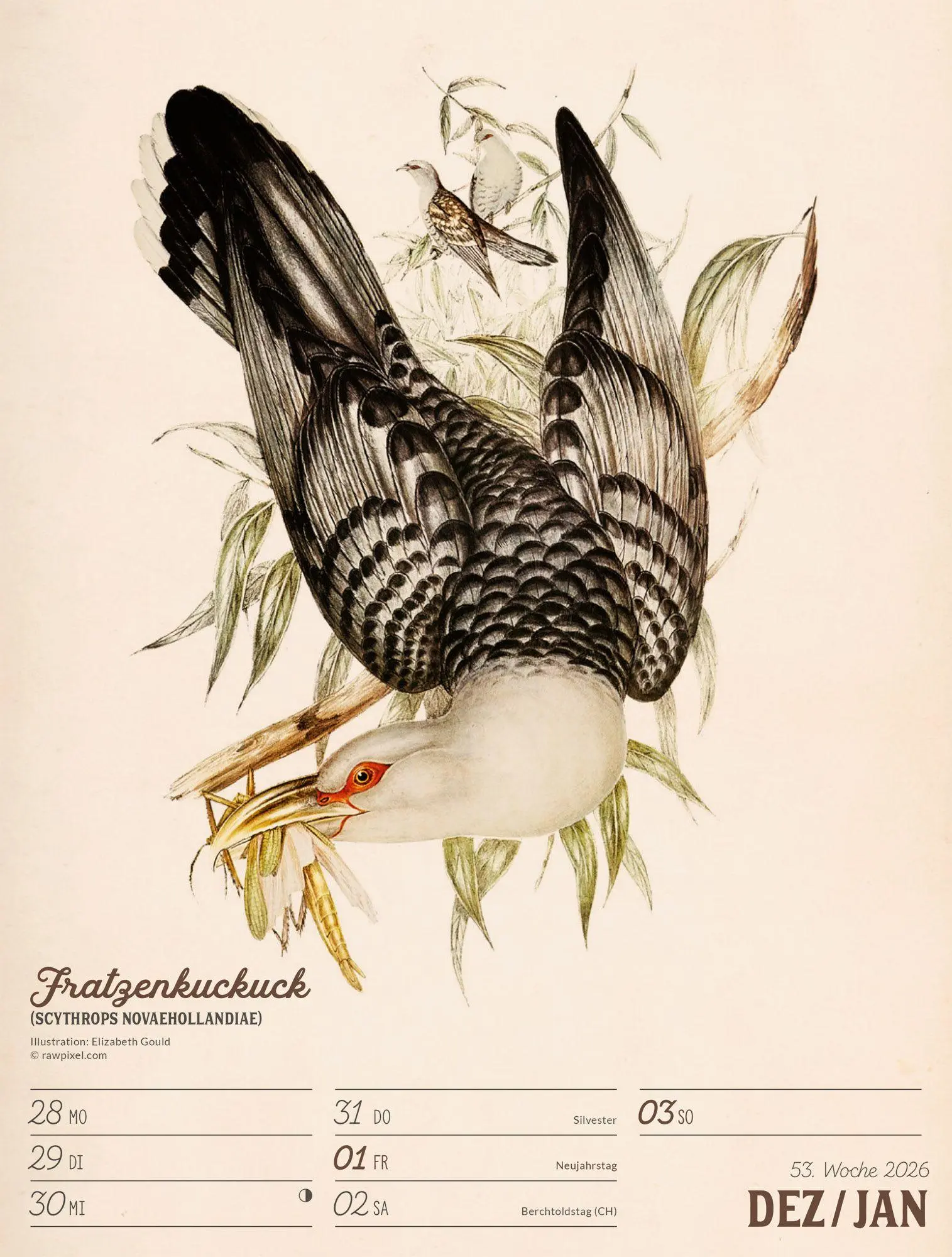 Bild: 9783838437248 | Wunderbare Vogelwelt Wochenplaner Kalender 2027 | GmbH | Kalender