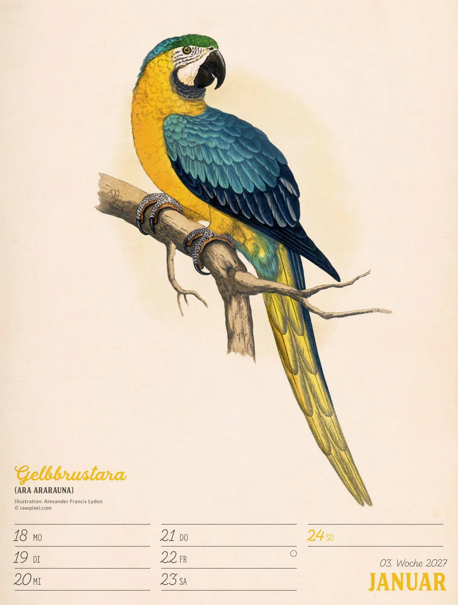 Bild: 9783838437248 | Wunderbare Vogelwelt Wochenplaner Kalender 2027 | GmbH | Kalender