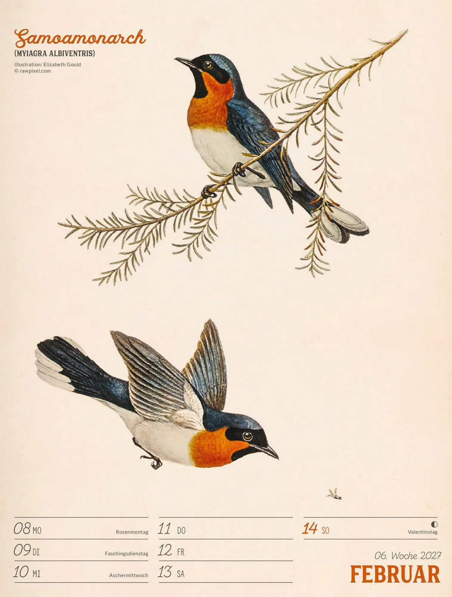 Bild: 9783838437248 | Wunderbare Vogelwelt Wochenplaner Kalender 2027 | GmbH | Kalender