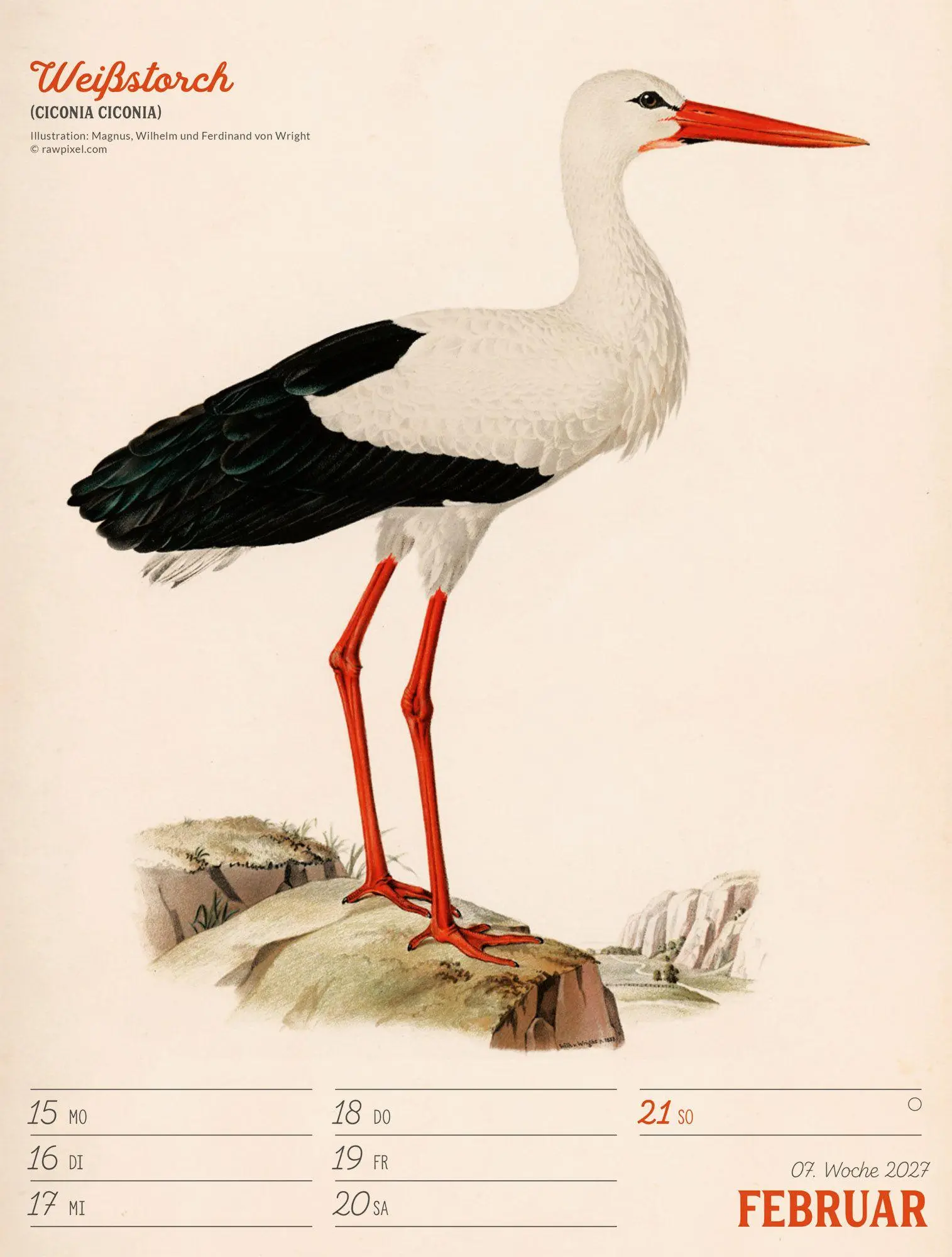 Bild: 9783838437248 | Wunderbare Vogelwelt Wochenplaner Kalender 2027 | GmbH | Kalender