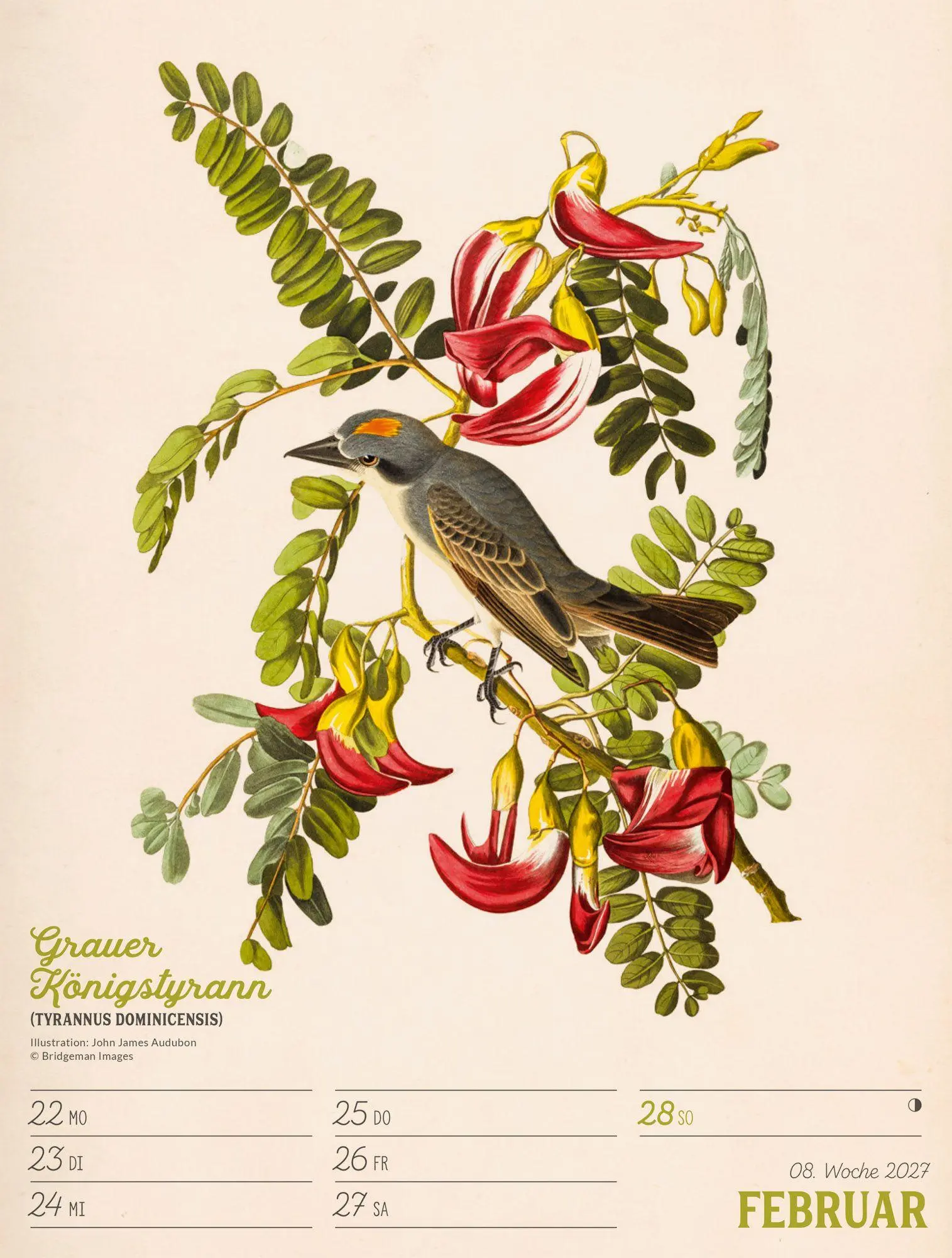 Bild: 9783838437248 | Wunderbare Vogelwelt Wochenplaner Kalender 2027 | GmbH | Kalender