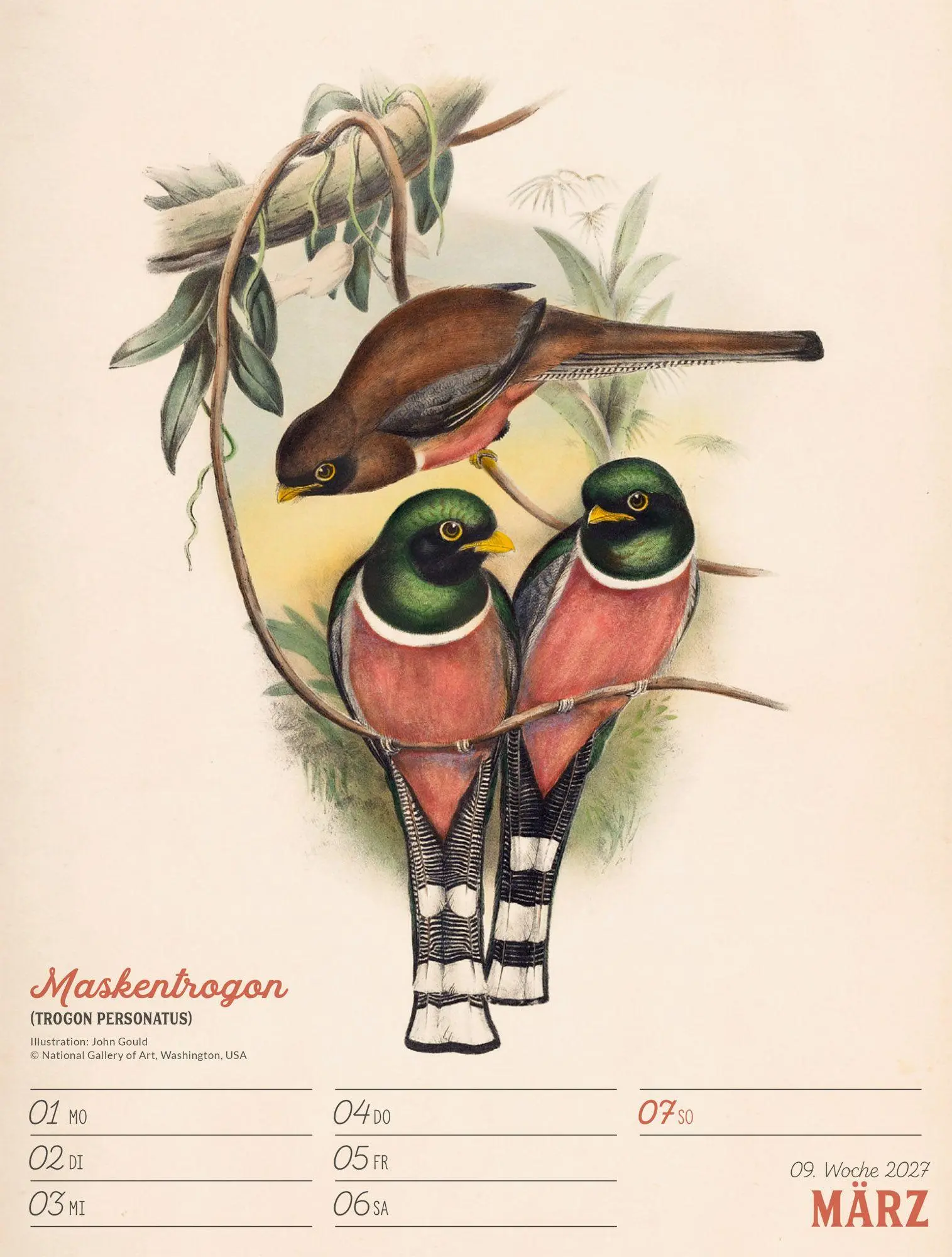 Bild: 9783838437248 | Wunderbare Vogelwelt Wochenplaner Kalender 2027 | GmbH | Kalender