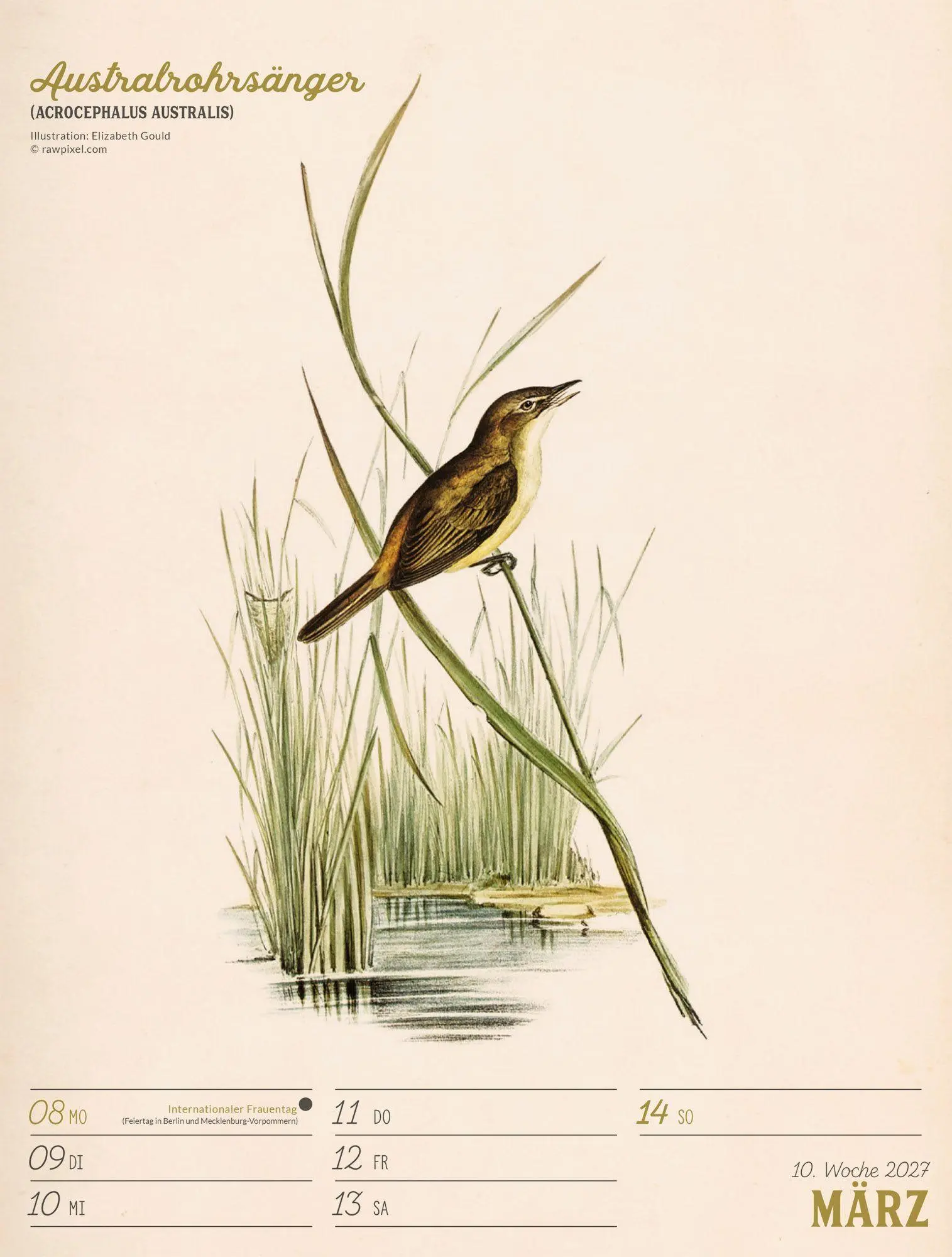 Bild: 9783838437248 | Wunderbare Vogelwelt Wochenplaner Kalender 2027 | GmbH | Kalender