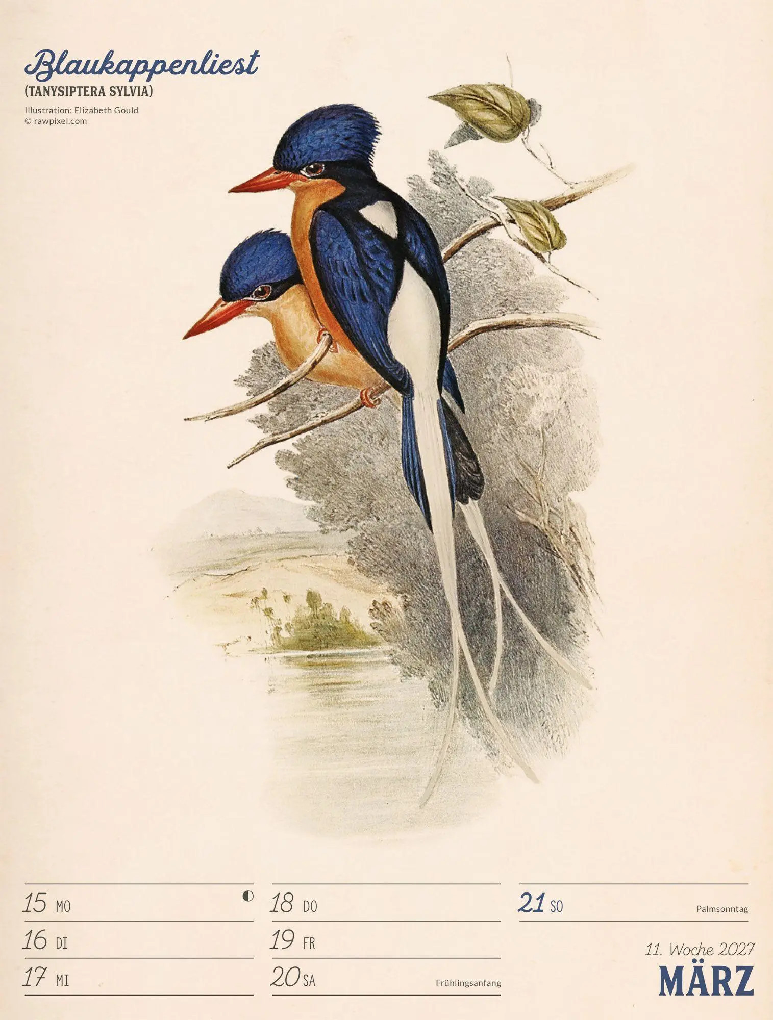 Bild: 9783838437248 | Wunderbare Vogelwelt Wochenplaner Kalender 2027 | GmbH | Kalender