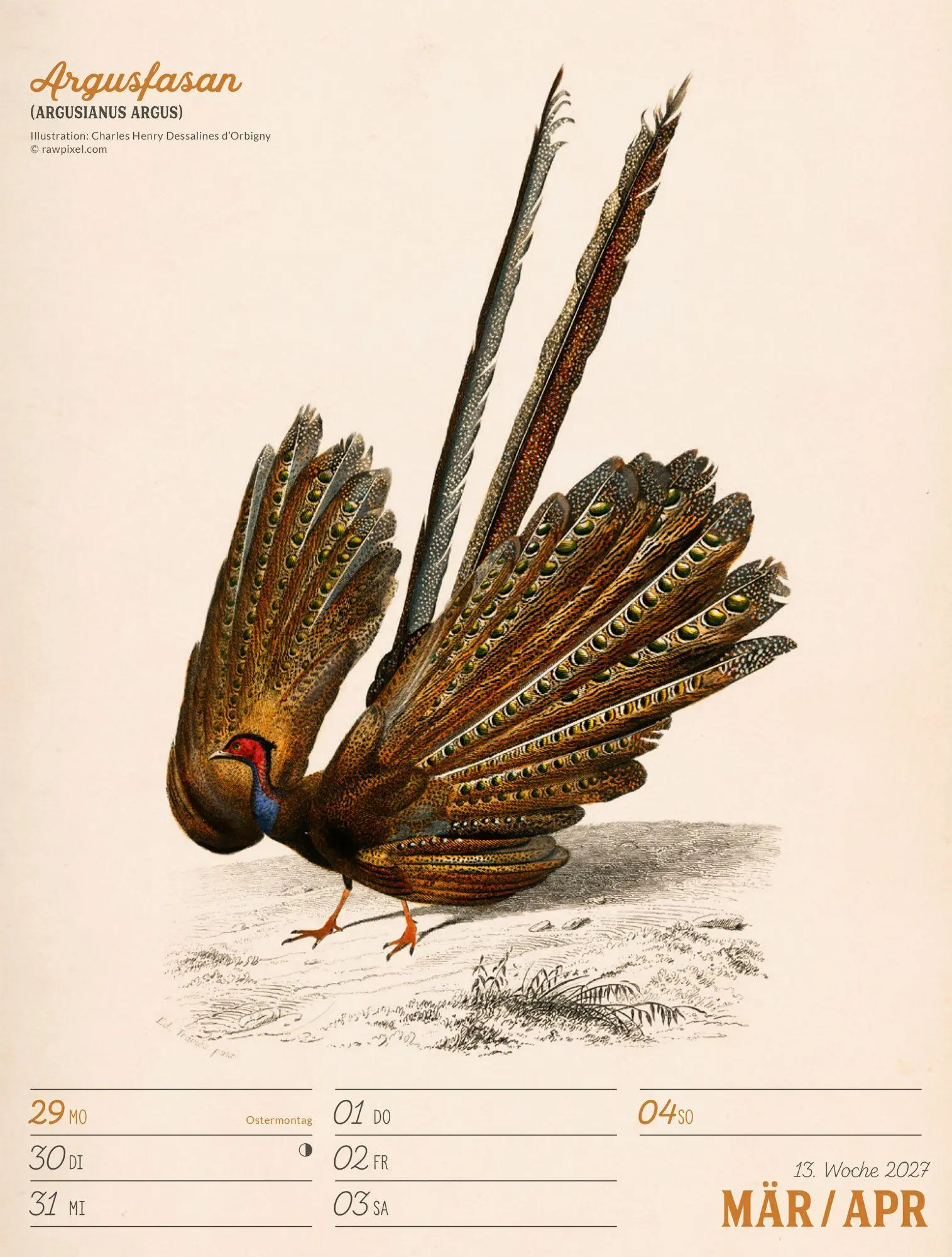 Bild: 9783838437248 | Wunderbare Vogelwelt Wochenplaner Kalender 2027 | GmbH | Kalender