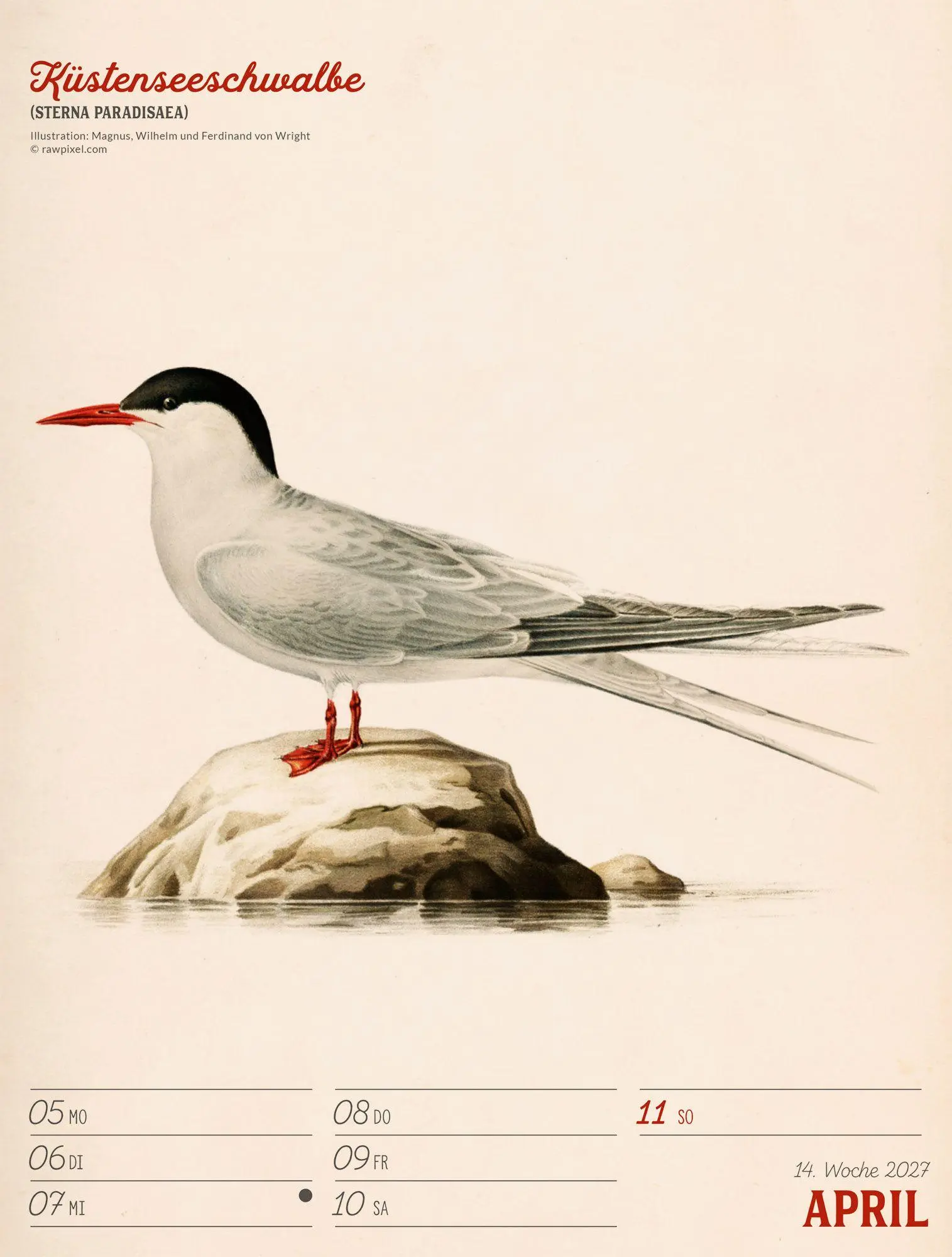 Bild: 9783838437248 | Wunderbare Vogelwelt Wochenplaner Kalender 2027 | GmbH | Kalender
