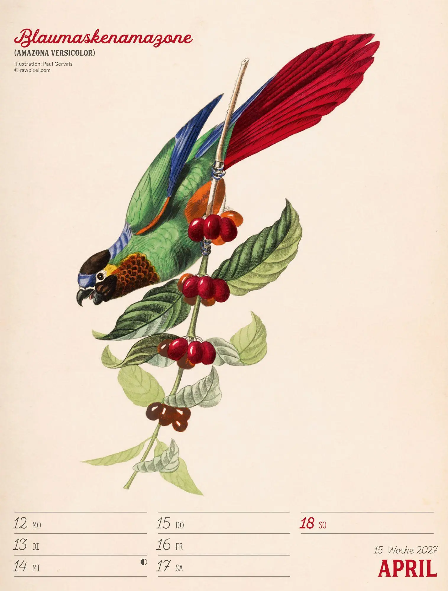 Bild: 9783838437248 | Wunderbare Vogelwelt Wochenplaner Kalender 2027 | GmbH | Kalender