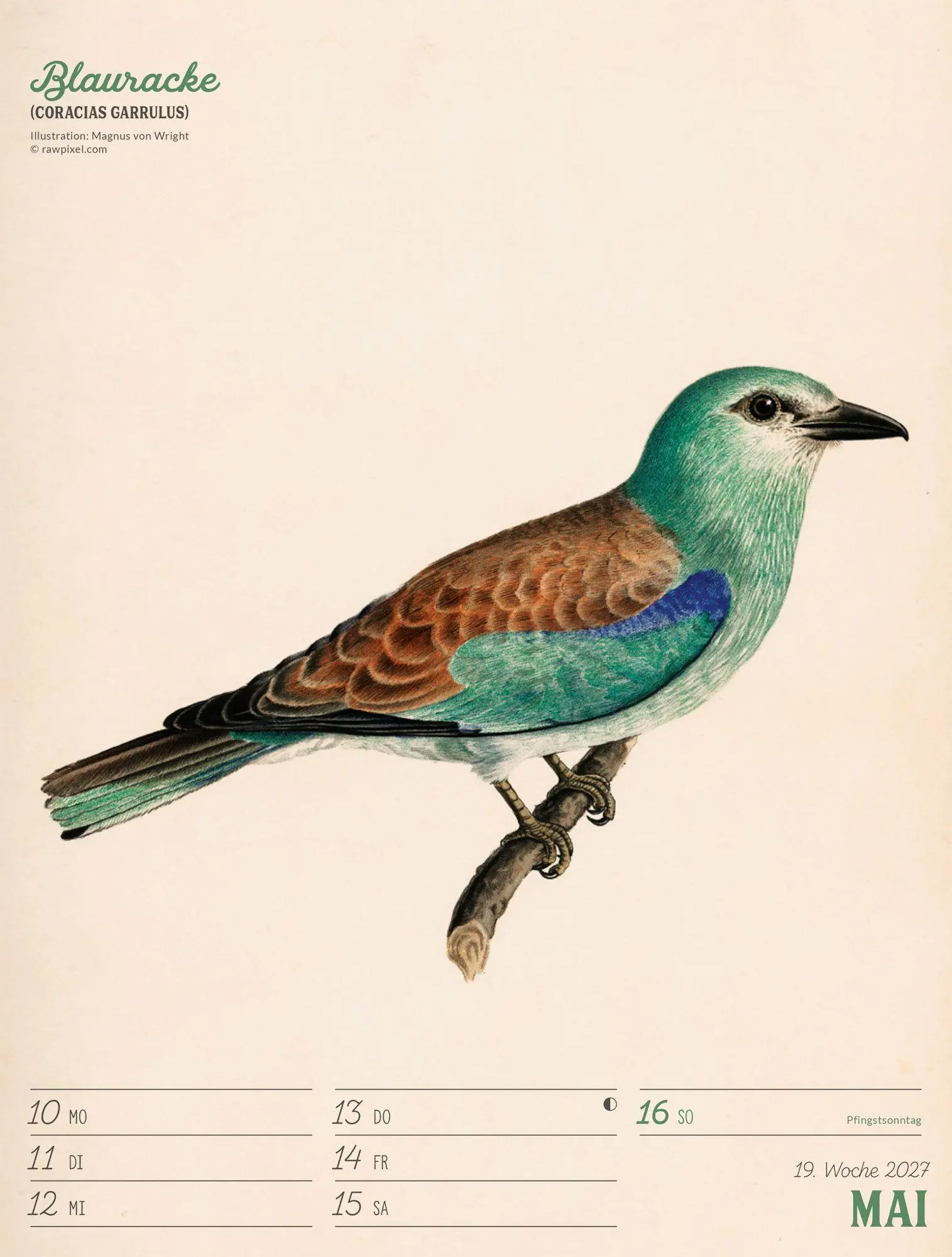 Bild: 9783838437248 | Wunderbare Vogelwelt Wochenplaner Kalender 2027 | GmbH | Kalender