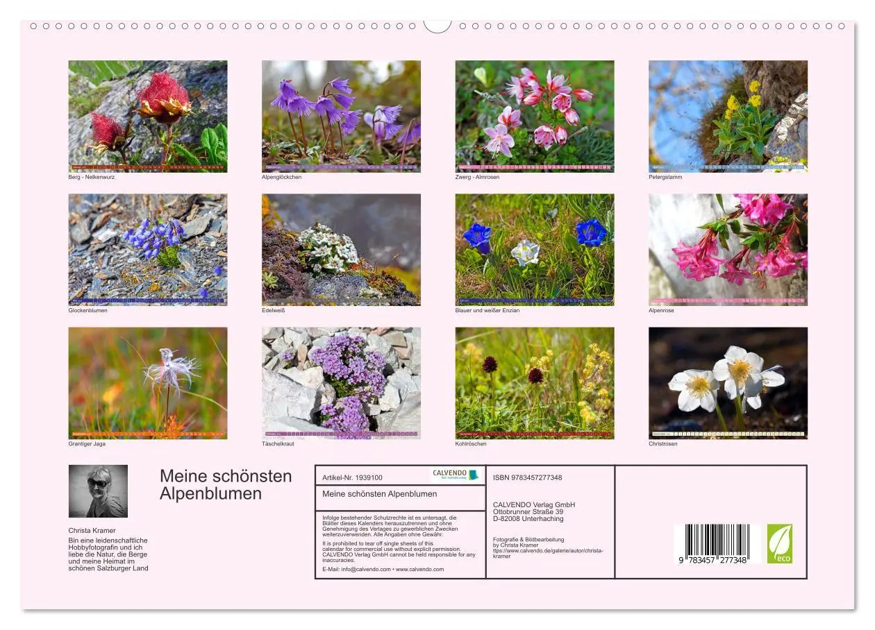 Bild: 9783457277348 | Meine schönsten Alpenblumen (hochwertiger Premium Wandkalender 2026...