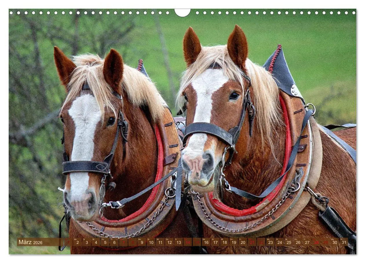 Bild: 9783457657348 | Zugpferde bei der Feldarbeit (Wandkalender 2026 DIN A3 quer),...