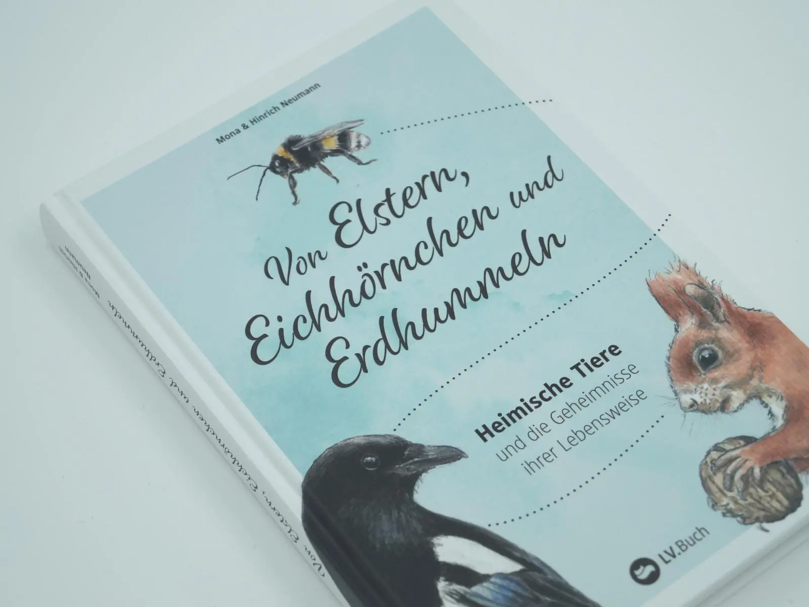Bild: 9783784357348 | Von Elstern, Eichhörnchen und Erdhummeln | Hinrich Neumann (u. a.)
