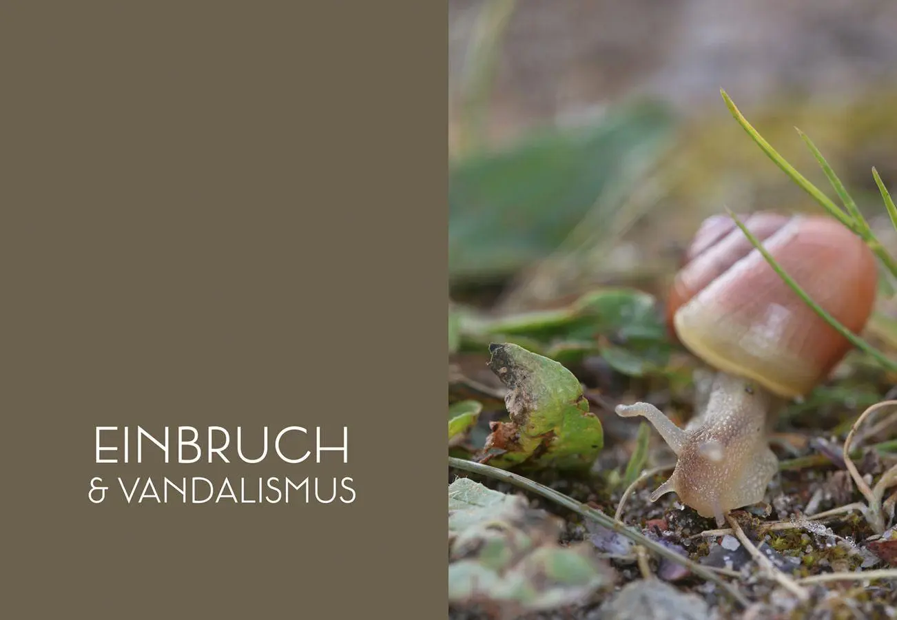 Bild: 9783818627348 | Mord im Nacktschnecken-Milieu | Elke Schwarzer | Buch | 144 S. | 2026