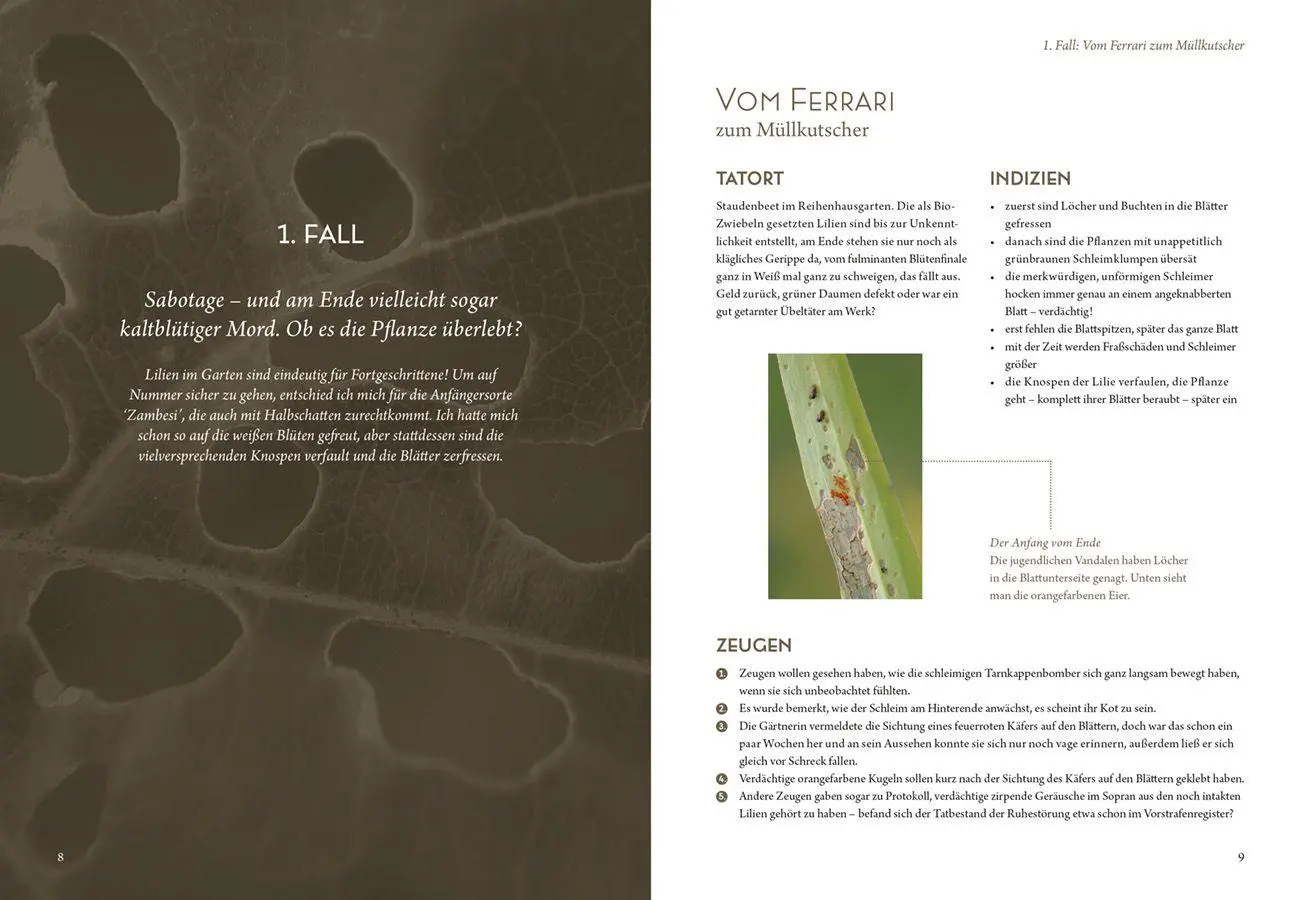 Bild: 9783818627348 | Mord im Nacktschnecken-Milieu | Elke Schwarzer | Buch | 144 S. | 2026