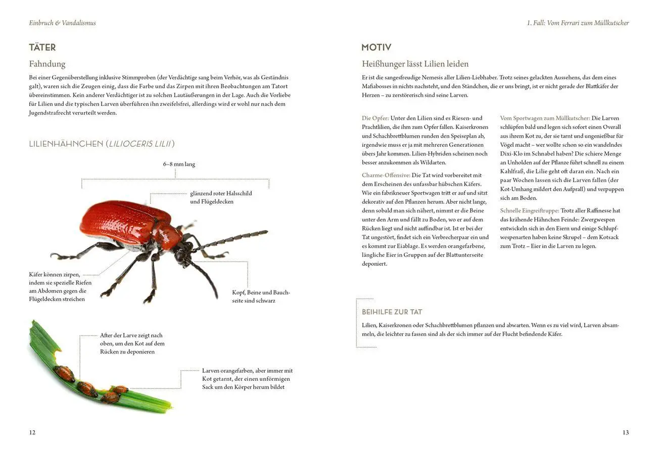 Bild: 9783818627348 | Mord im Nacktschnecken-Milieu | Elke Schwarzer | Buch | 144 S. | 2026
