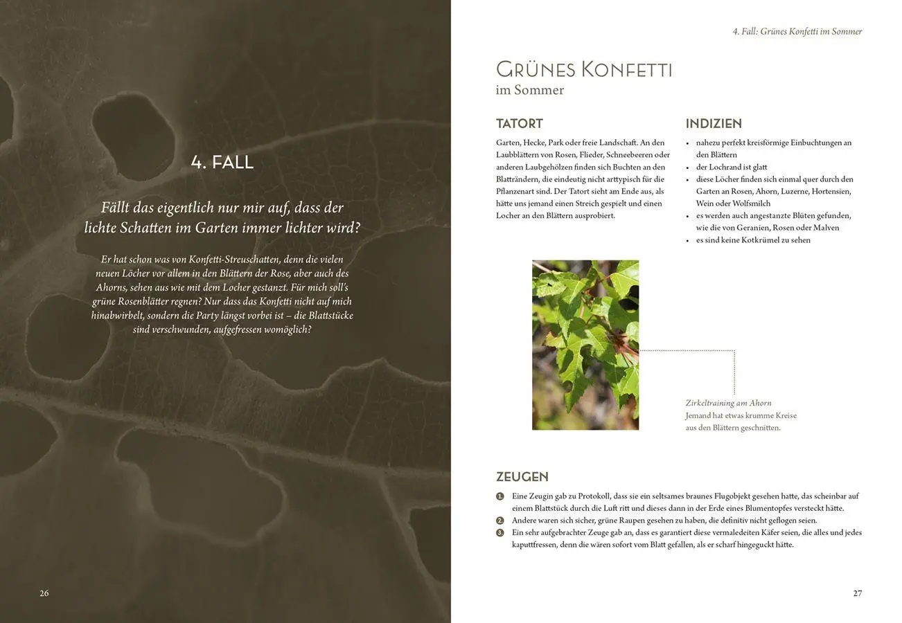 Bild: 9783818627348 | Mord im Nacktschnecken-Milieu | Elke Schwarzer | Buch | 144 S. | 2026