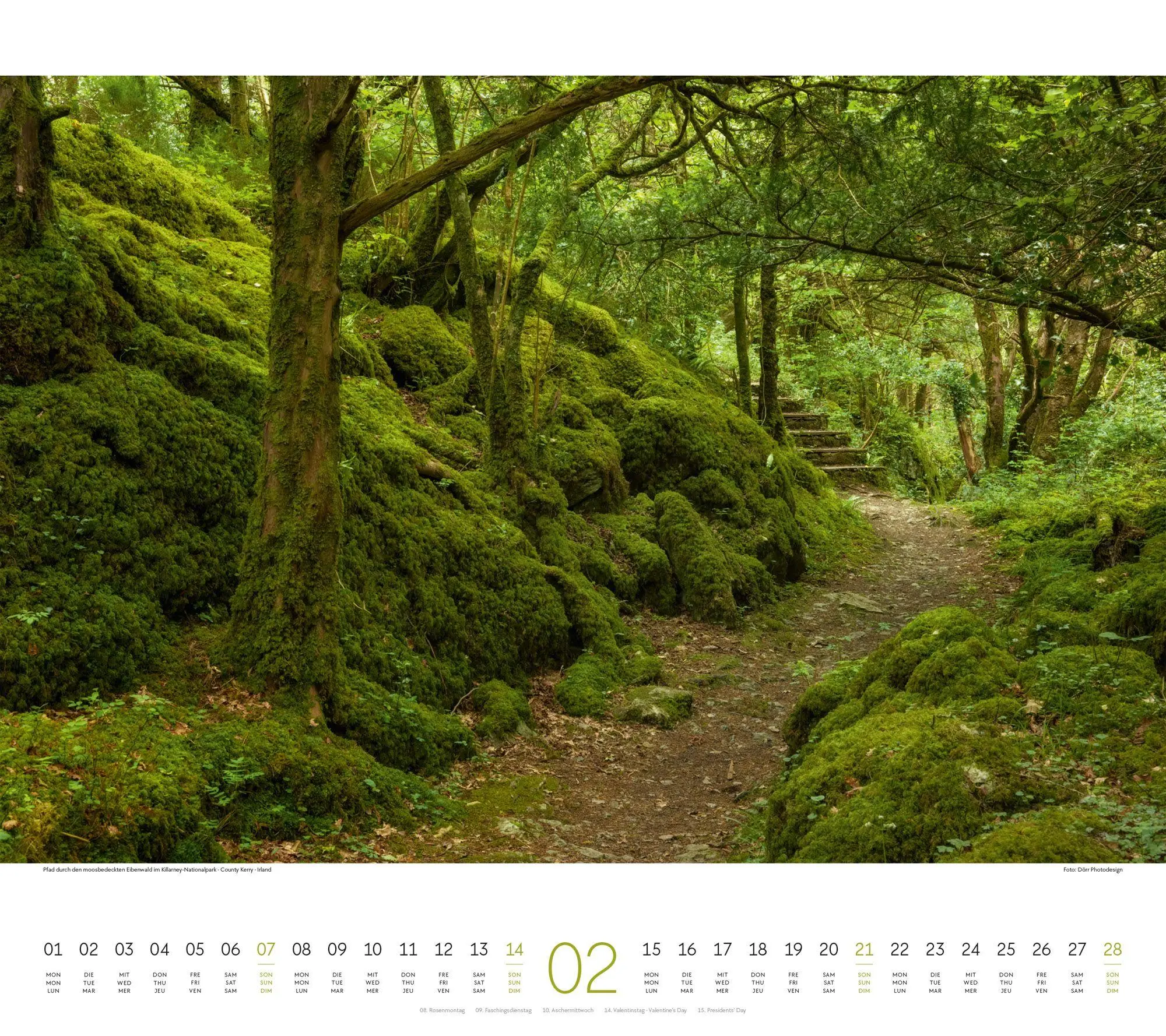 Bild: 9783838427348 | Wege Kalender 2027 | Ackermann Kunstverlag GmbH | Kalender | 14 S.