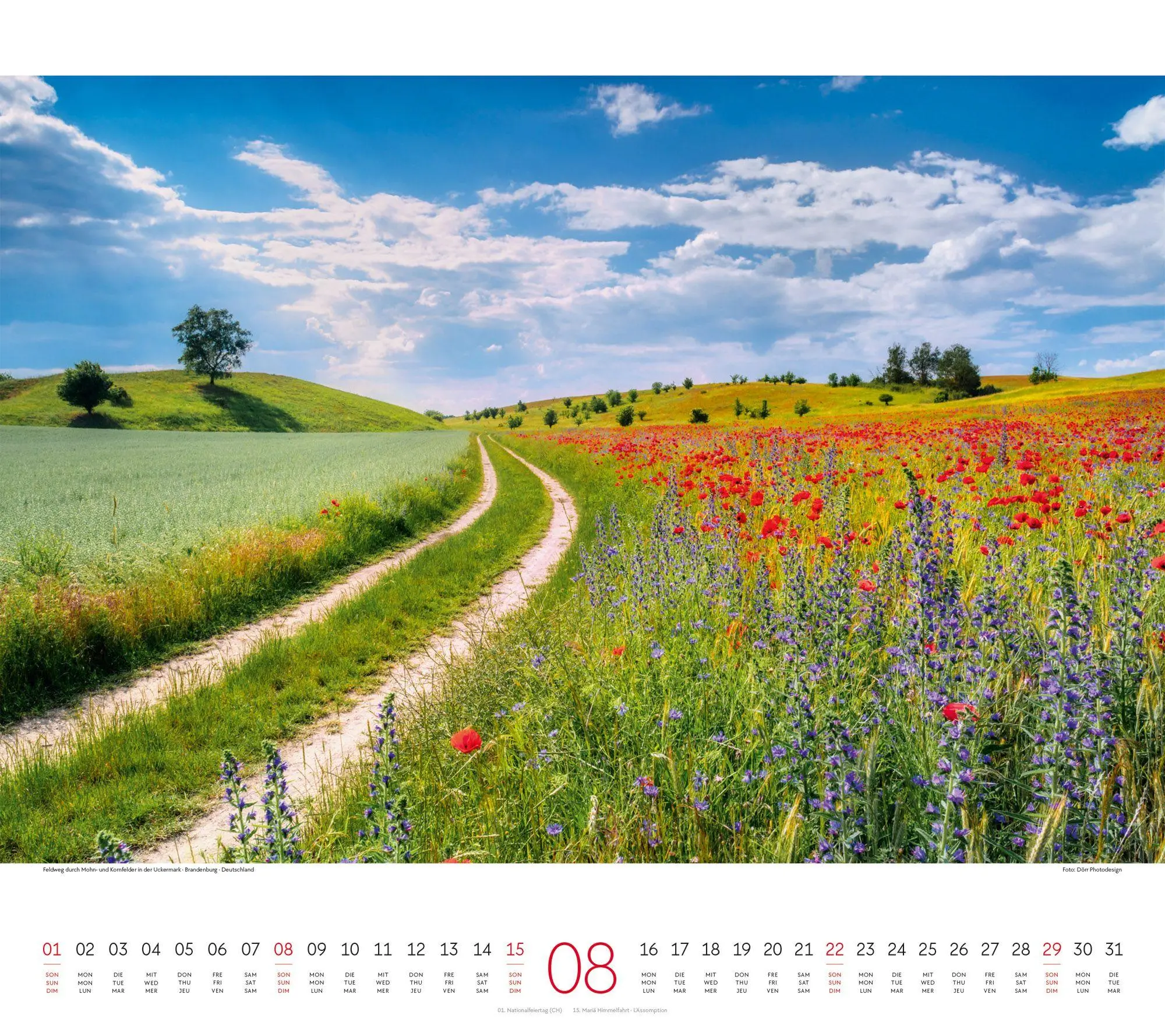 Bild: 9783838427348 | Wege Kalender 2027 | Ackermann Kunstverlag GmbH | Kalender | 14 S.