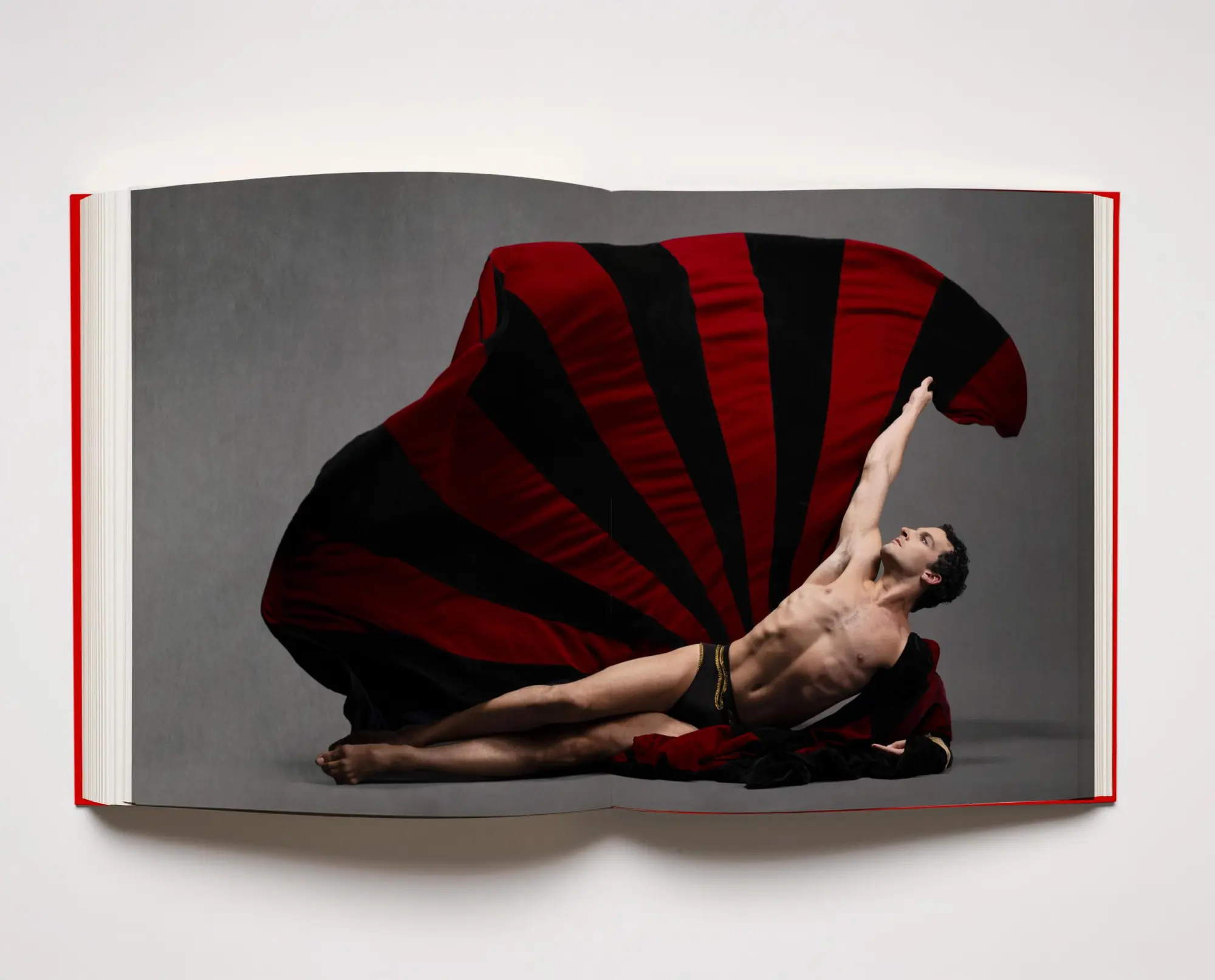 Bild: 9780762487448 | Martha Graham Dance Company 100 Years | Ken Browar (u. a.) | Buch