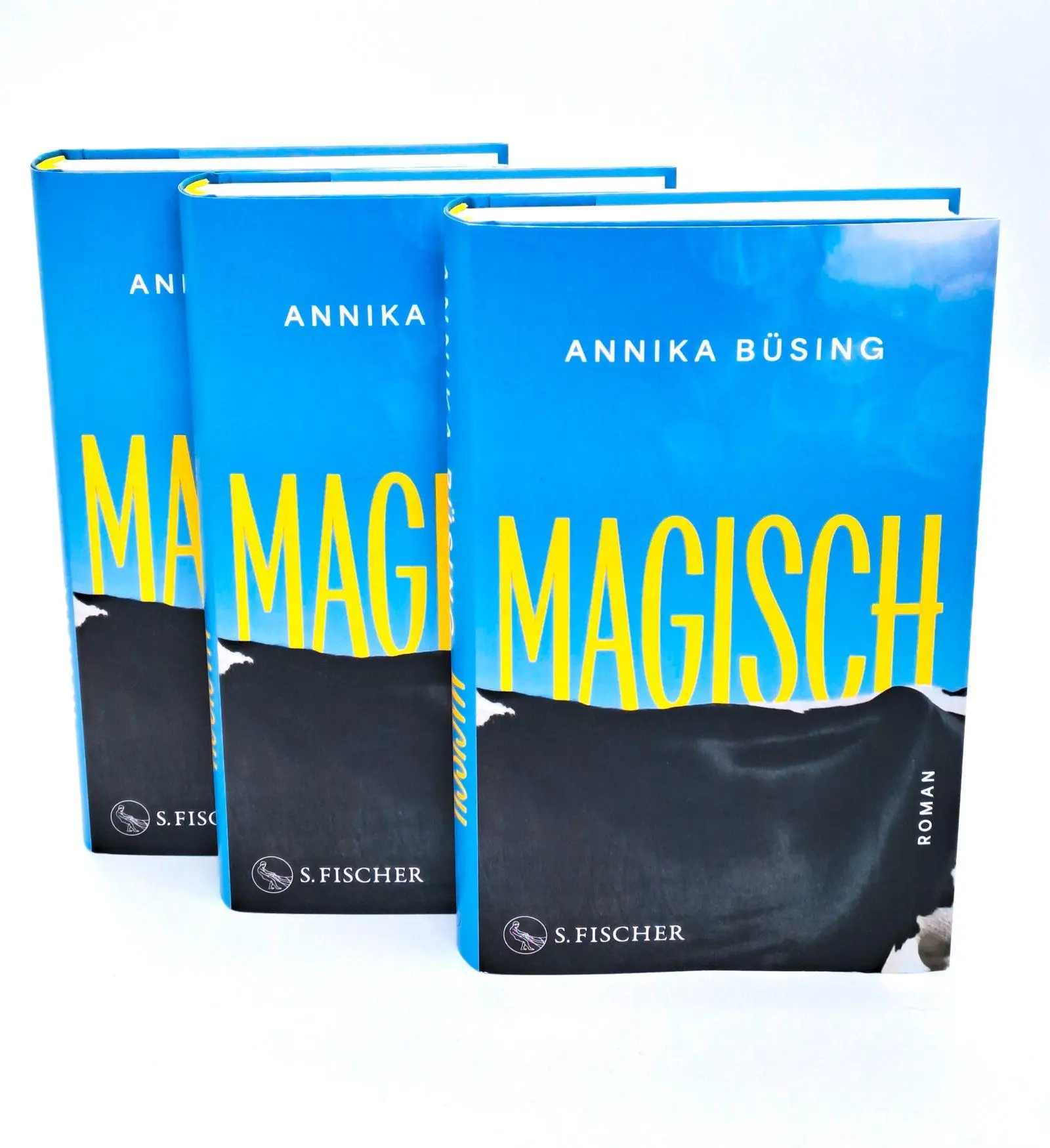 Bild: 9783103977448 | Magisch | Roman | Annika Büsing | Buch | 288 S. | Deutsch | 2026