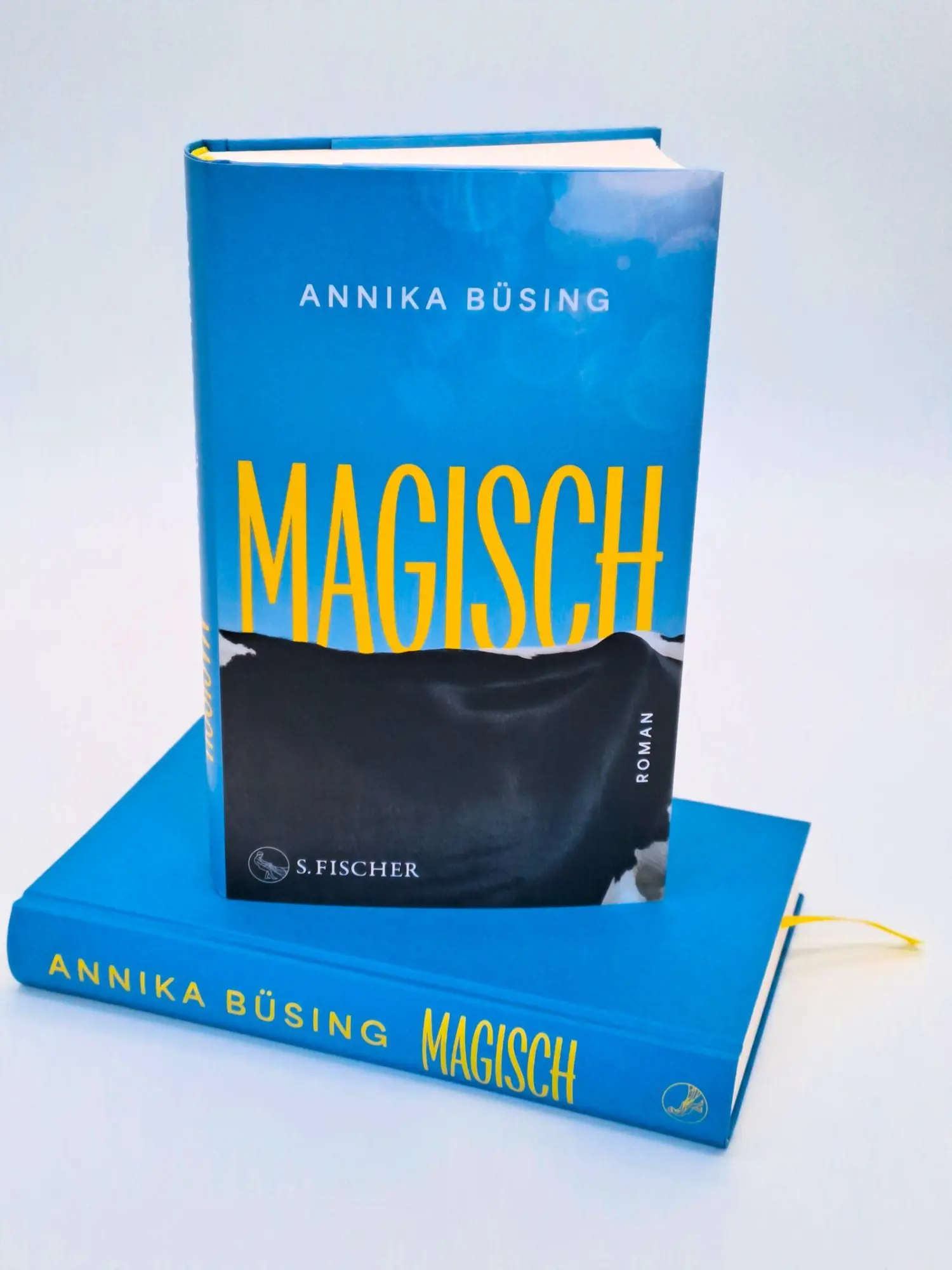 Bild: 9783103977448 | Magisch | Roman | Annika Büsing | Buch | 288 S. | Deutsch | 2026