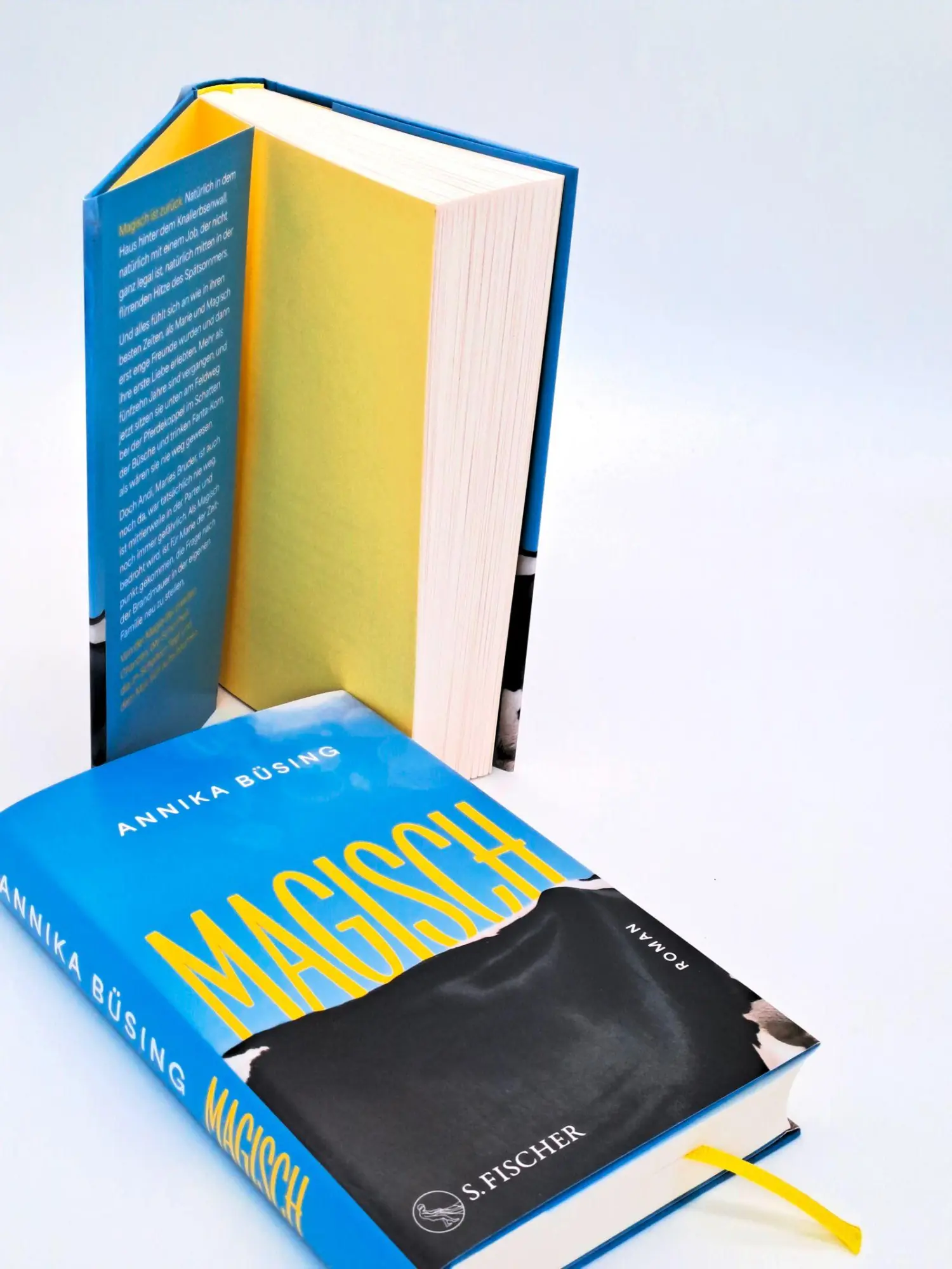 Bild: 9783103977448 | Magisch | Roman | Annika Büsing | Buch | 288 S. | Deutsch | 2026