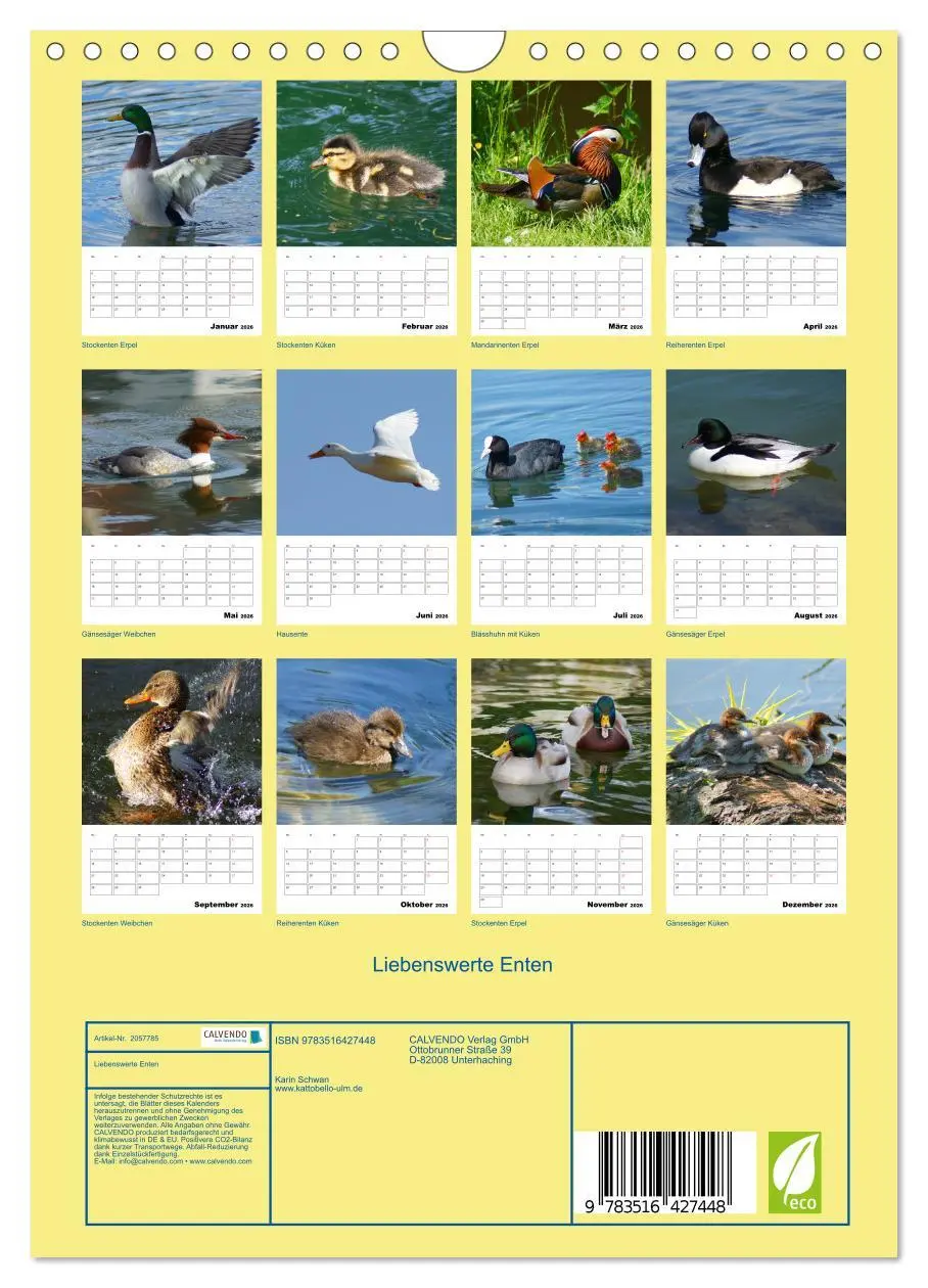 Bild: 9783516427448 | Liebenswerte Enten (Wandkalender 2026 DIN A4 hoch), CALVENDO...