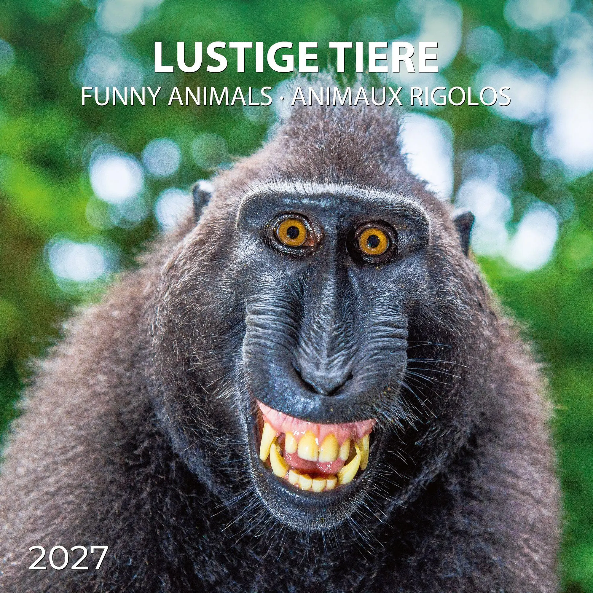 Cover: 9783959297448 | Lustige Tiere / Funny Animals 2027 | Kalender 2027 | Kalender | 28 S.