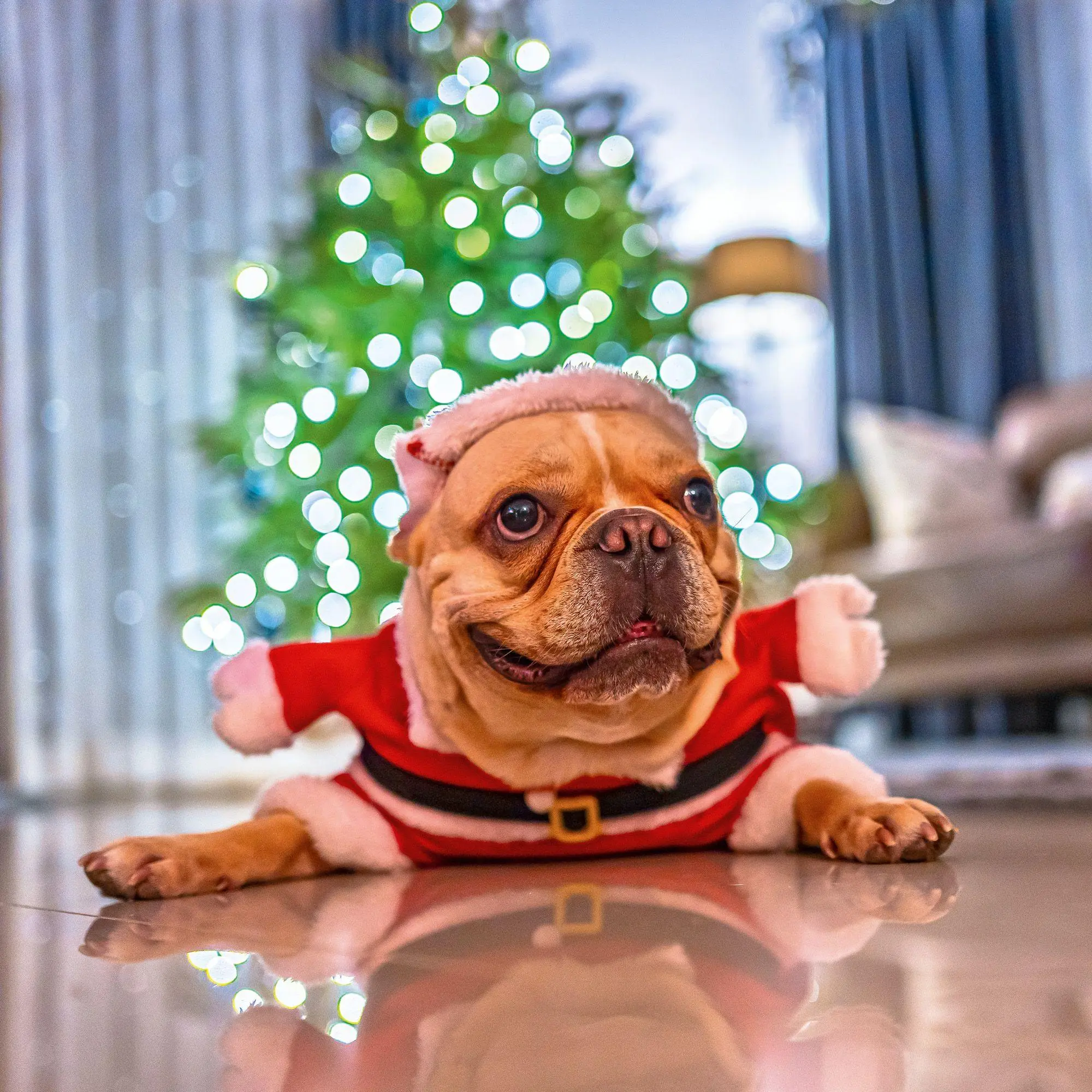 Bild: 9783959297448 | Lustige Tiere / Funny Animals 2027 | Kalender 2027 | Kalender | 28 S.